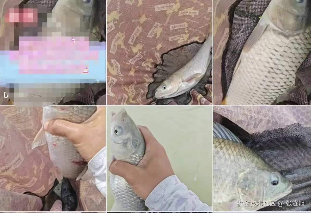 张鑫旭于2025-08-15 16:44发布的图片