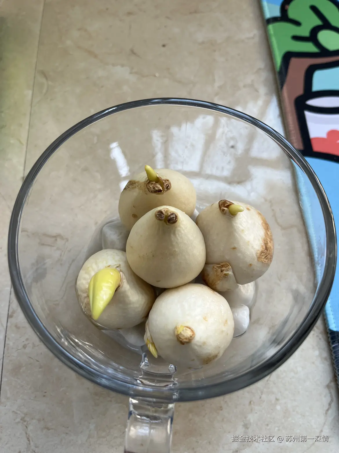 苏州第一深情于2025-03-18 09:01发布的图片