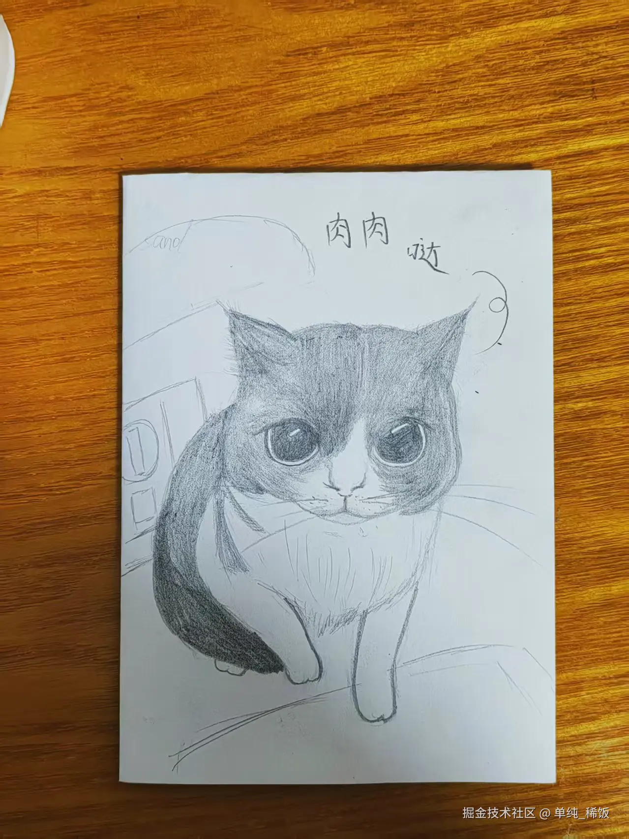 单纯_稀饭于2025-03-04 13:17发布的图片