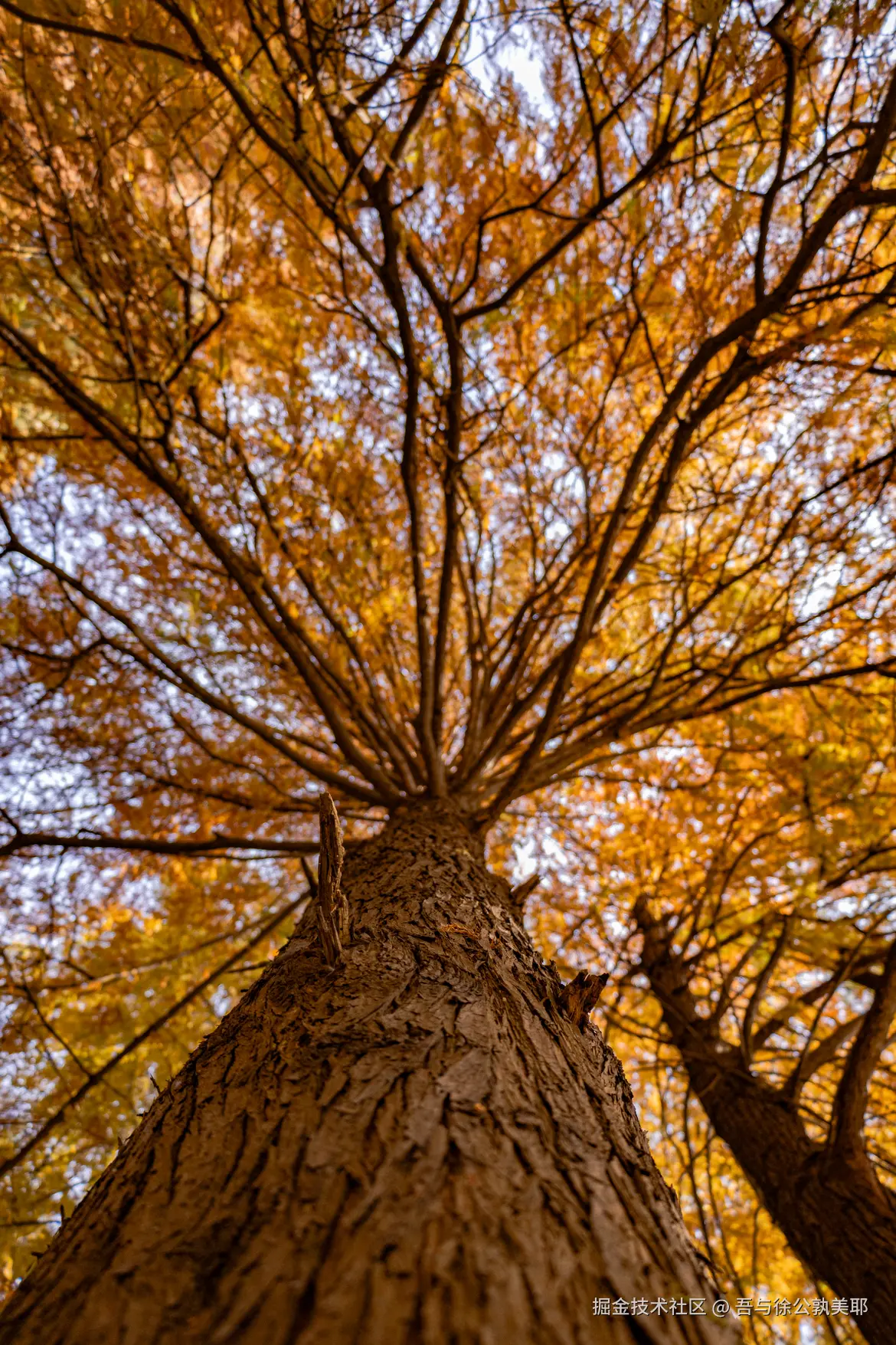 吾与徐公孰美耶于2025-08-07 11:17发布的图片