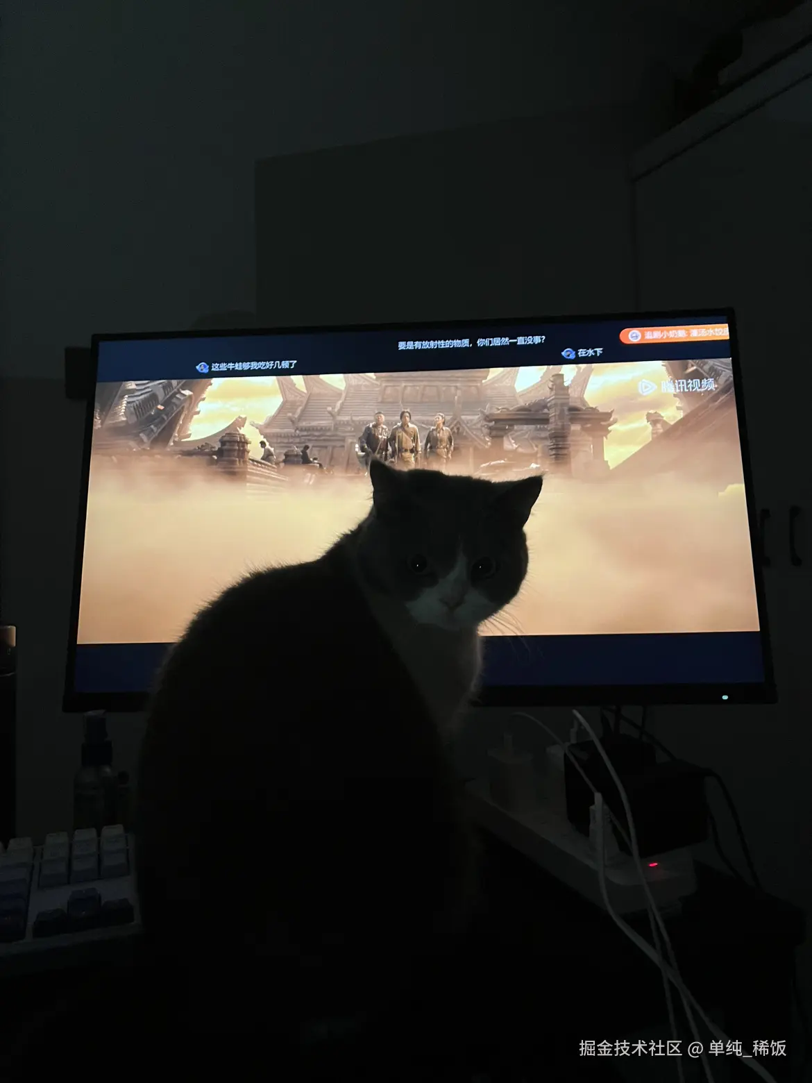 单纯_稀饭于2024-12-05 07:54发布的图片