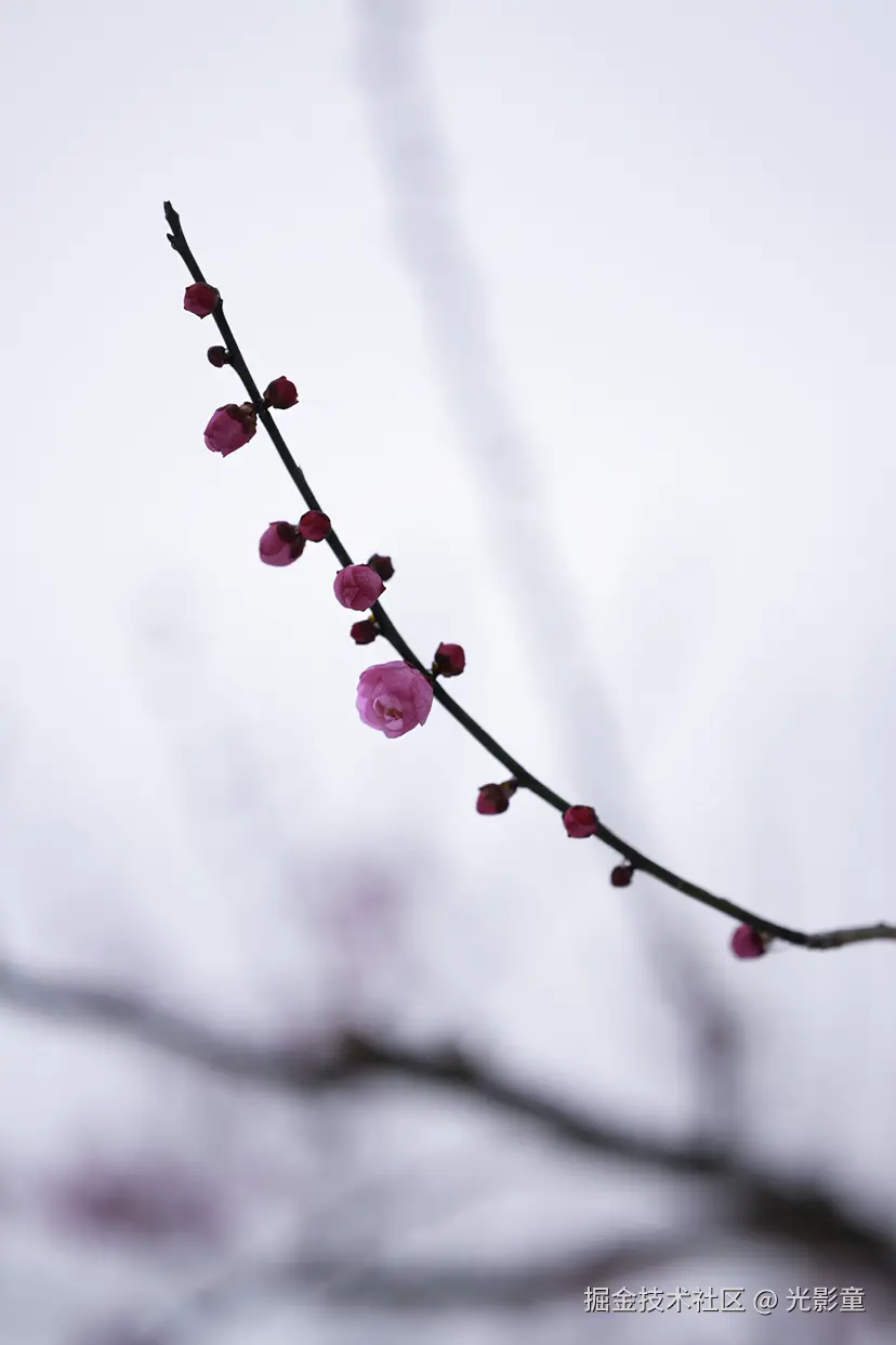 光影童于2026-01-21 11:03发布的图片