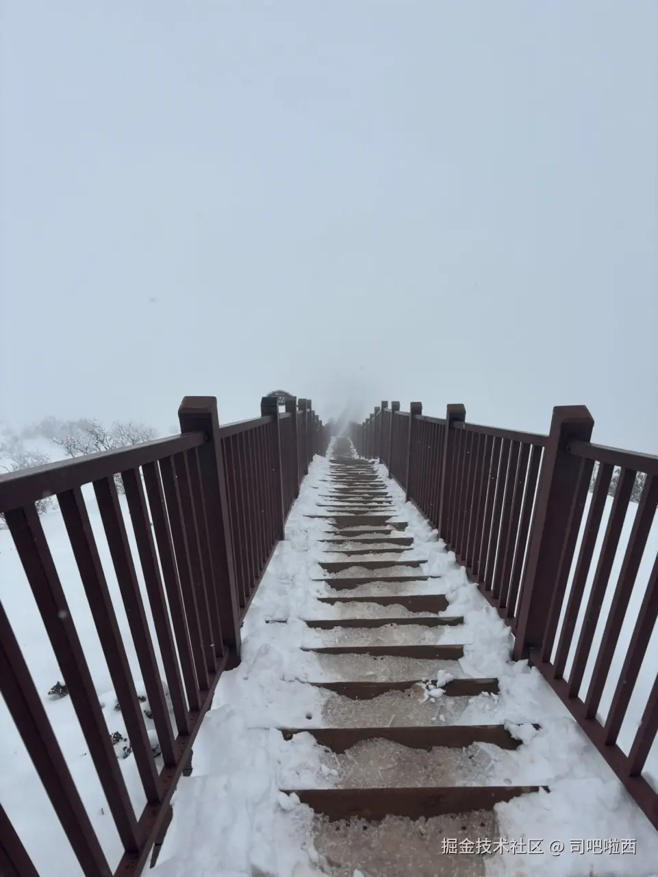 司吧啦西于2025-04-09 09:54发布的图片