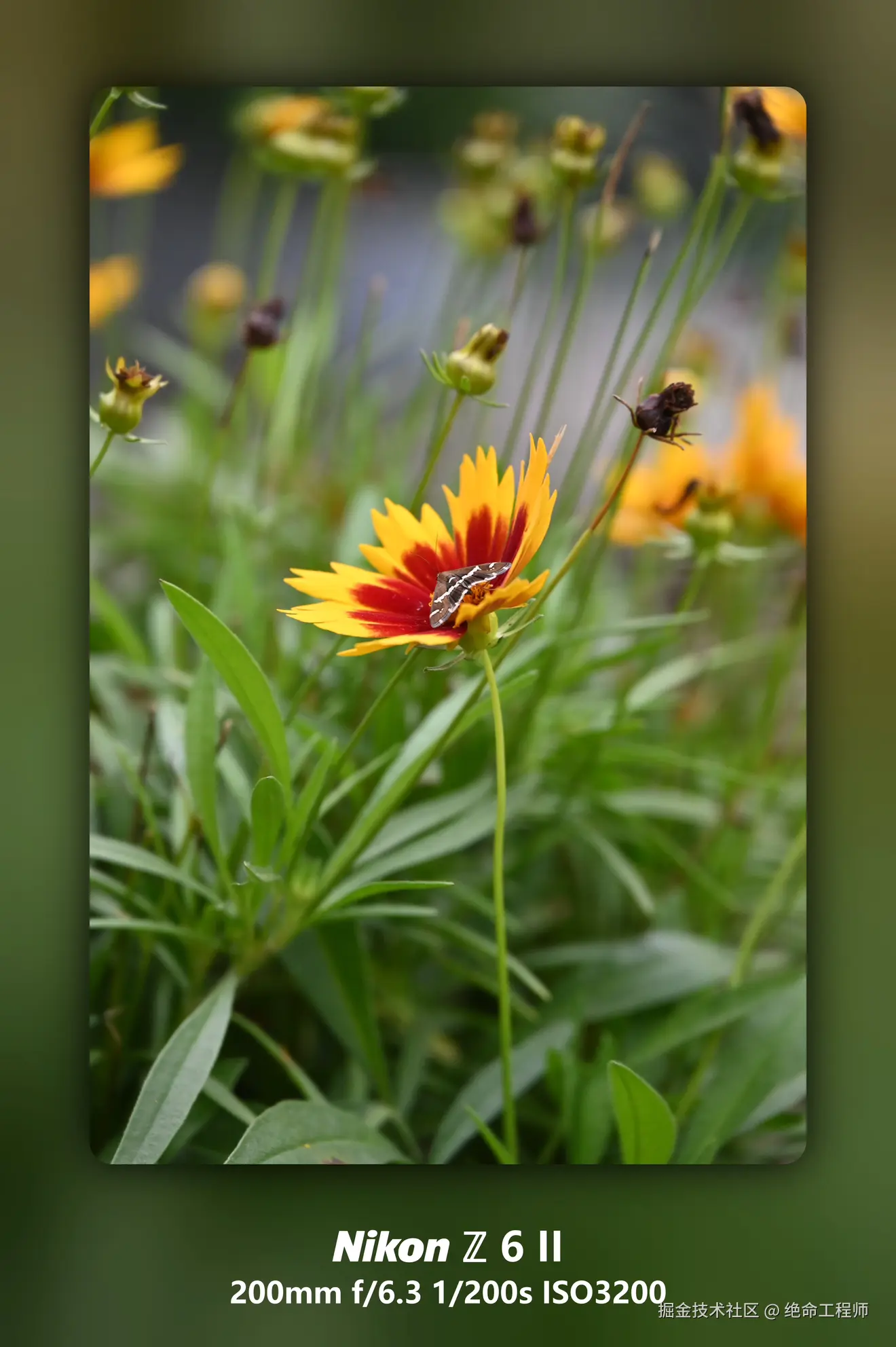 绝命工程师于2025-11-11 09:28发布的图片