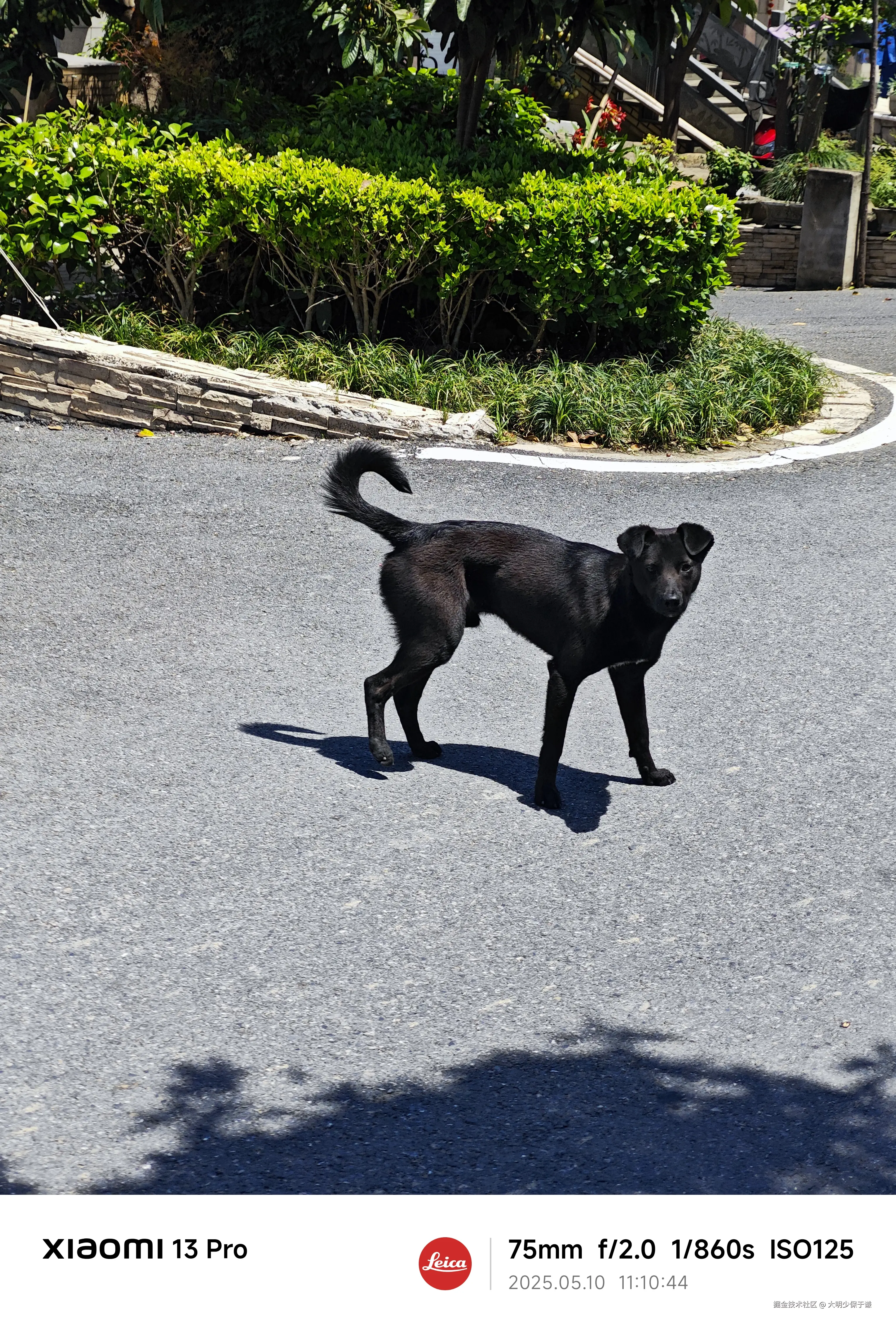 大明少保于谦于2025-05-12 09:51发布的图片