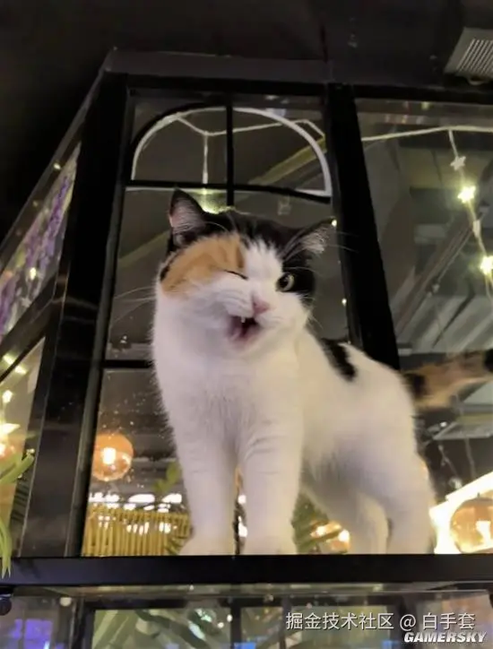 白手套于2026-01-28 11:24发布的图片