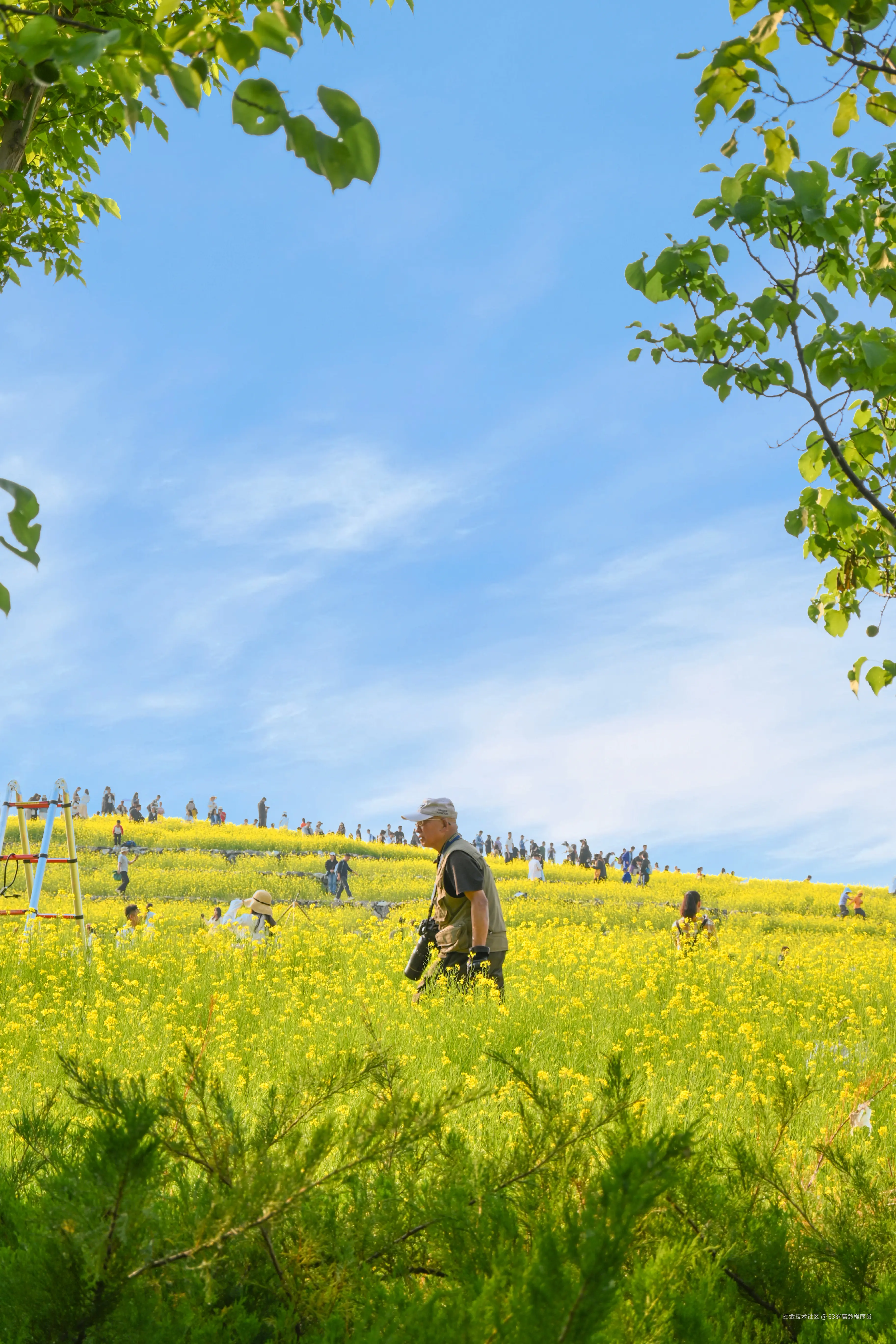 63岁高龄程序员于2025-05-12 09:50发布的图片