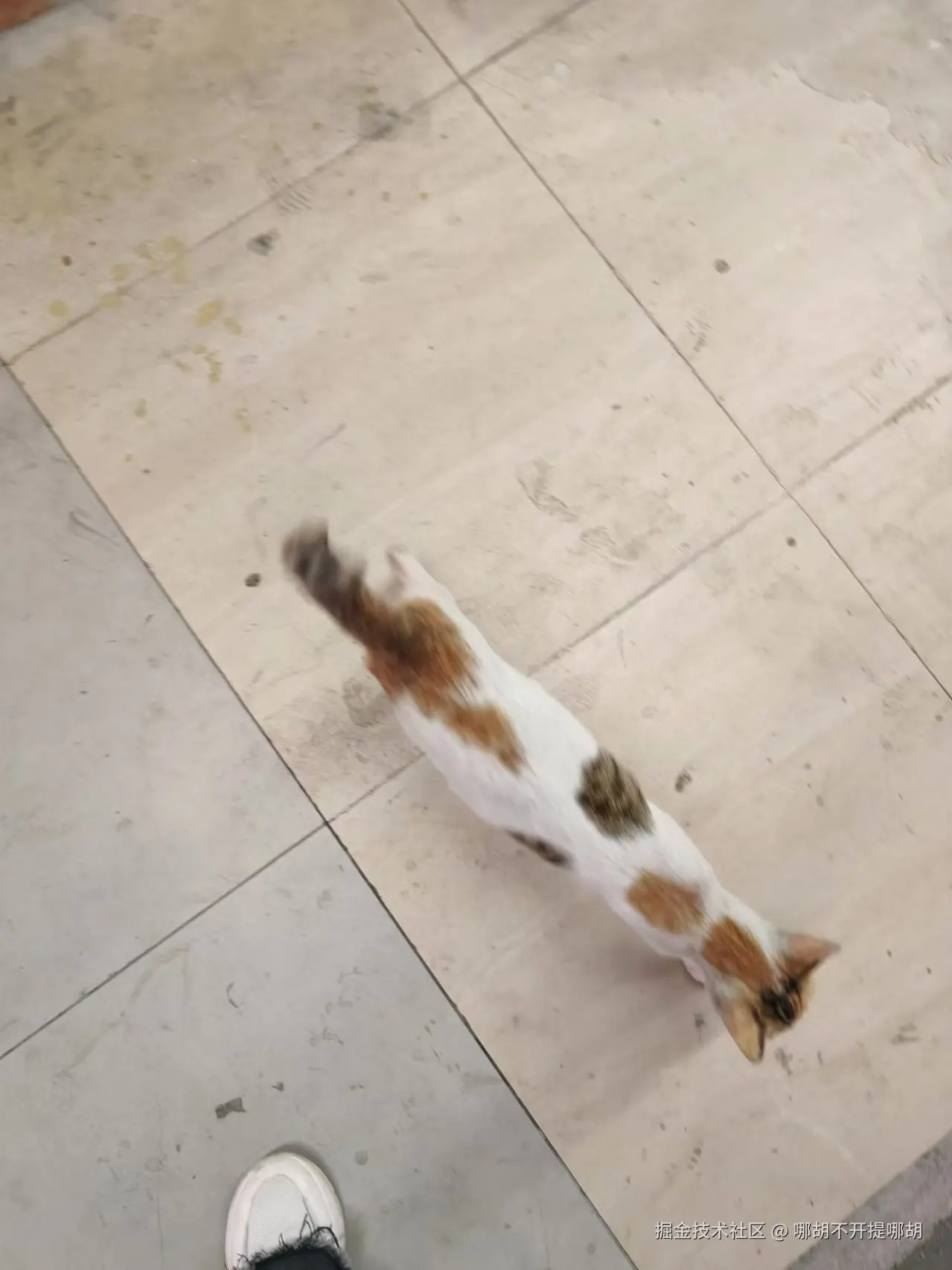 哪胡不开提哪胡于2024-10-31 08:58发布的图片