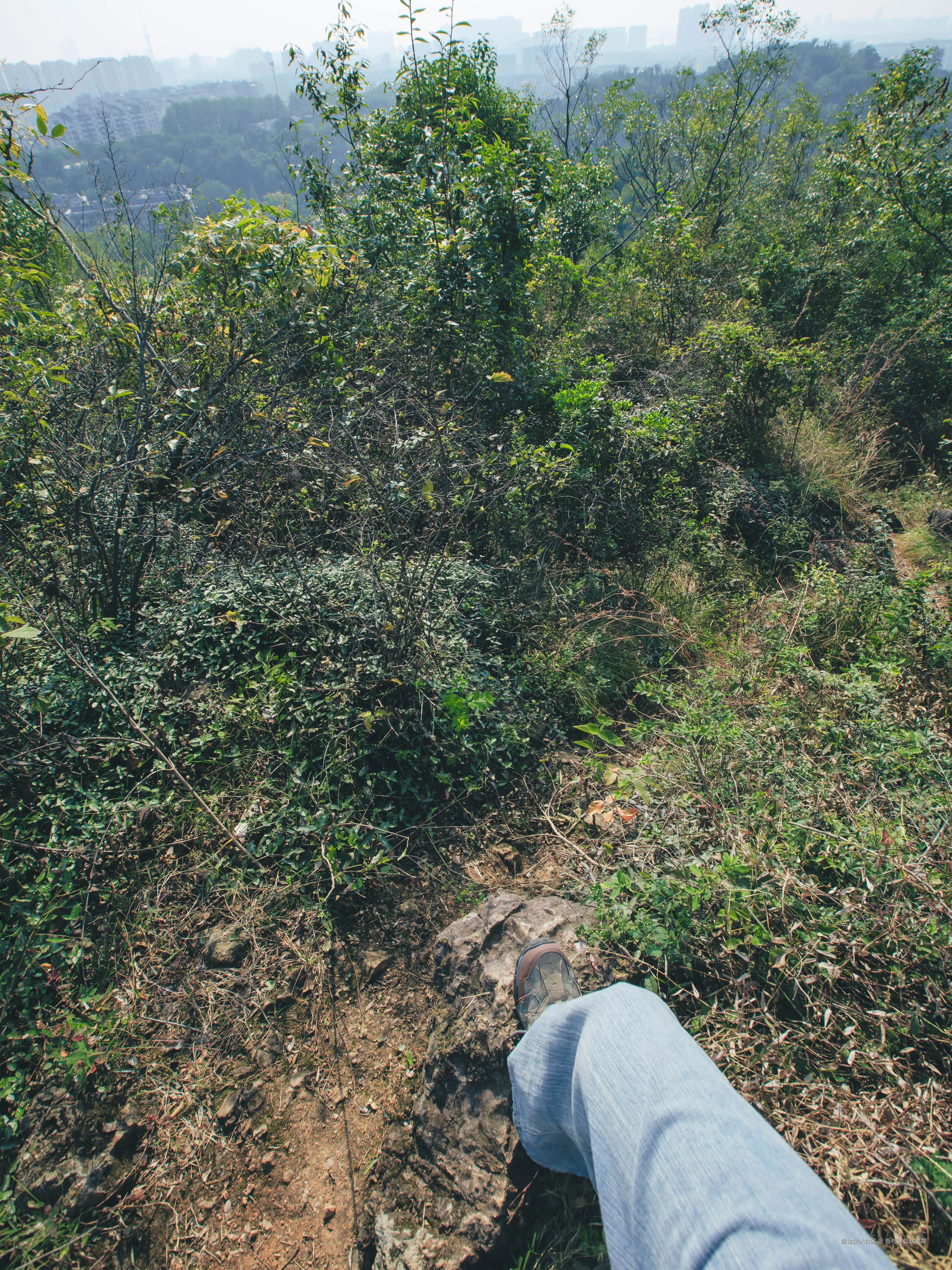 吾与徐公孰美耶于2025-11-13 09:37发布的图片