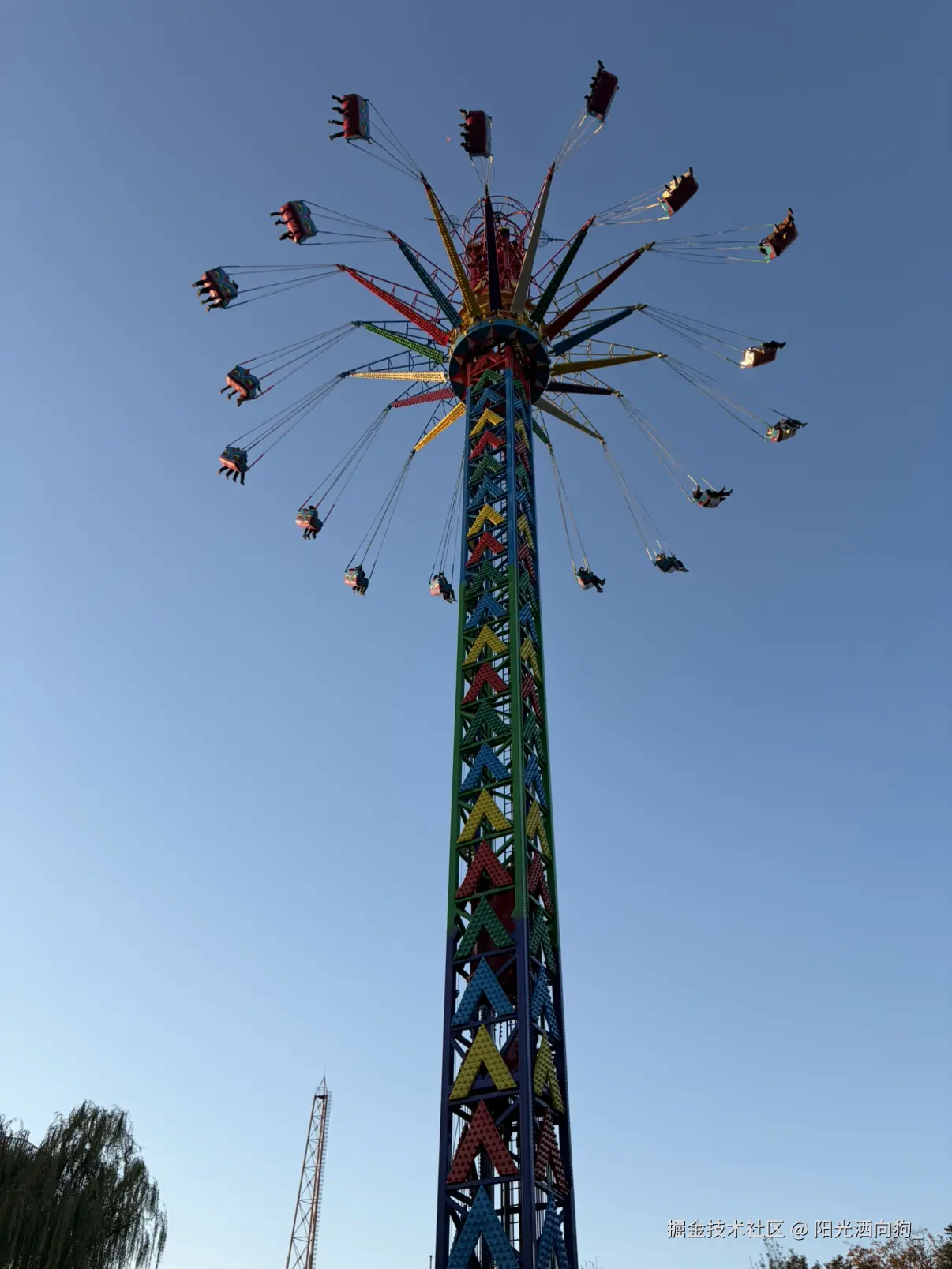 阳光洒向狗_于2025-11-04 10:31发布的图片