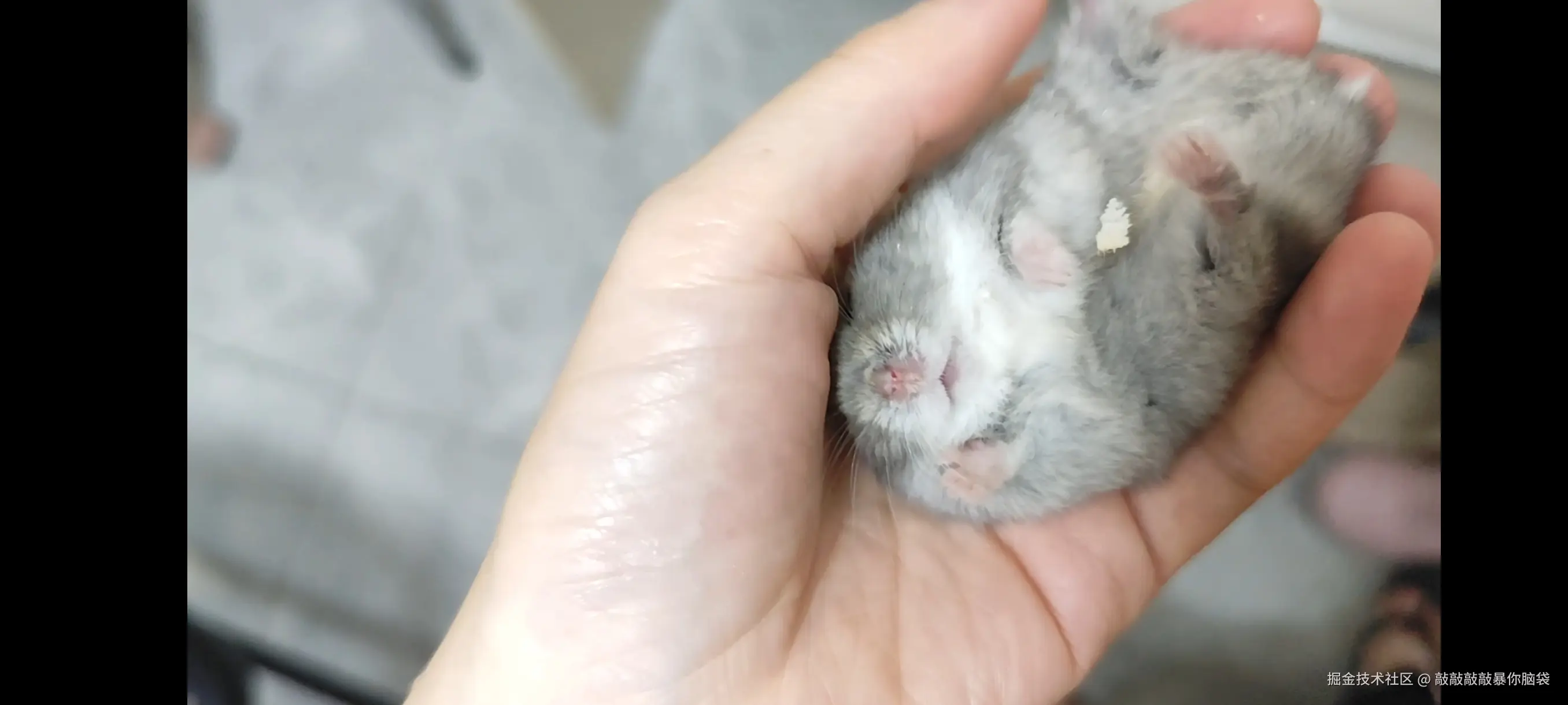 敲敲敲敲暴你脑袋于2025-10-22 10:09发布的图片