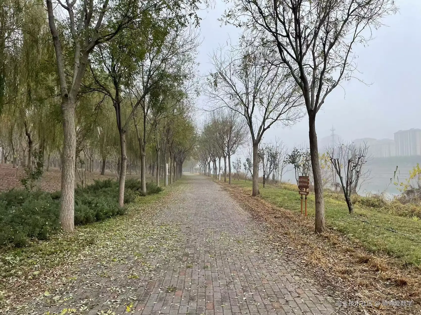 帅帅爱数学于2024-11-15 13:21发布的图片