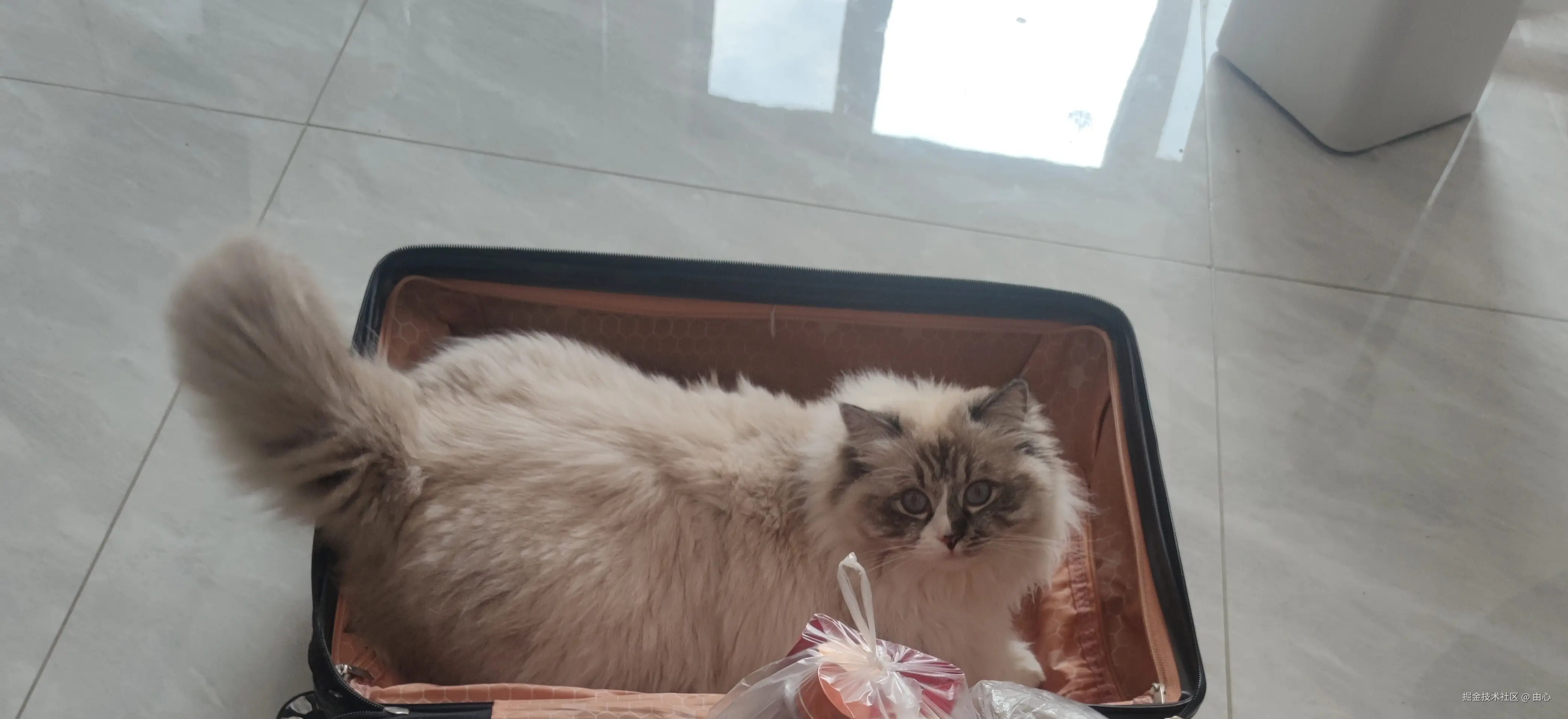 由心于2026-03-10 10:26发布的图片