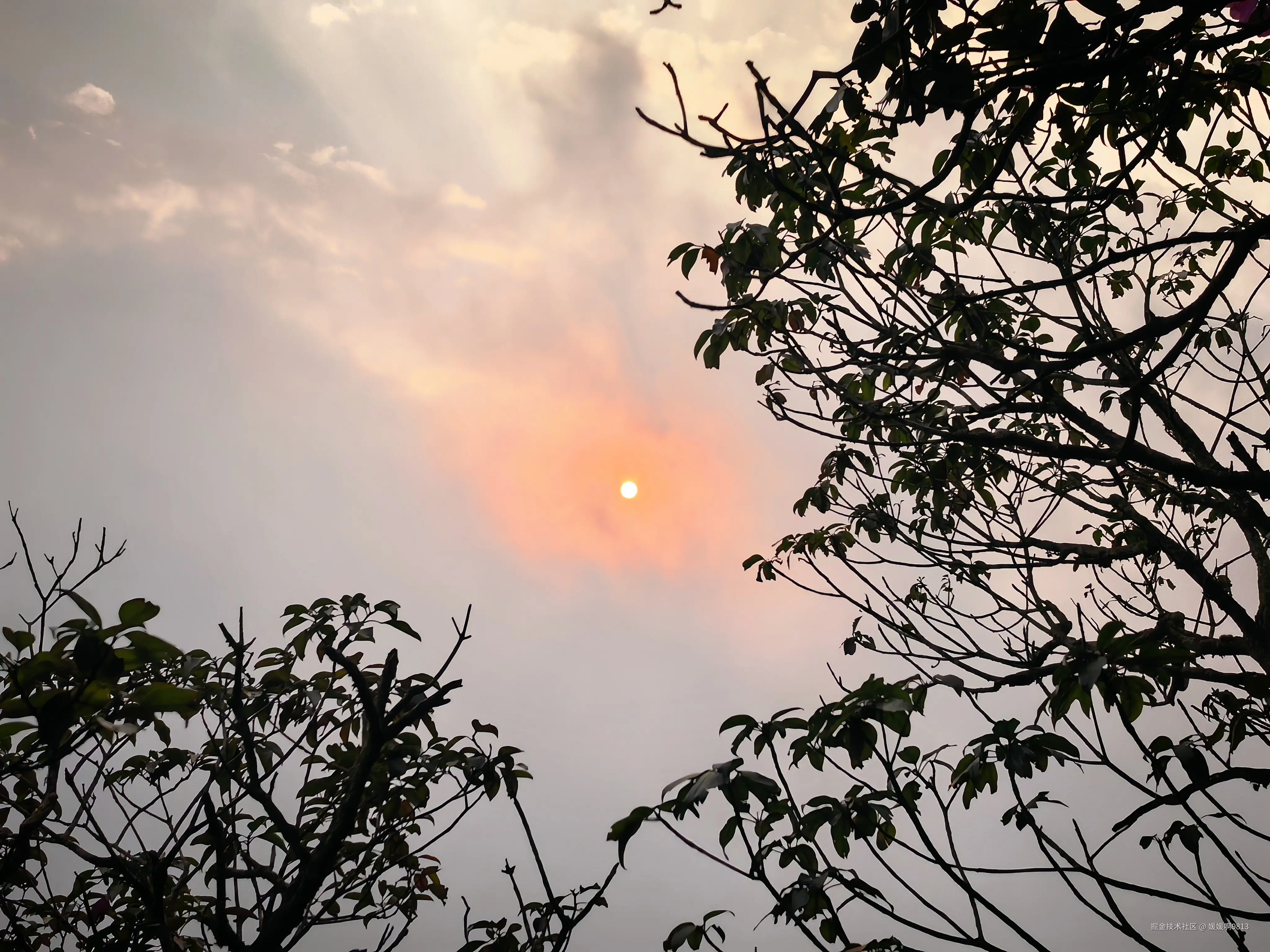 媛媛啊9813于2026-04-14 22:41发布的图片