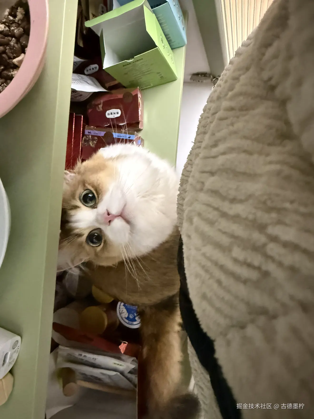 古德墨柠于2026-01-30 17:53发布的图片