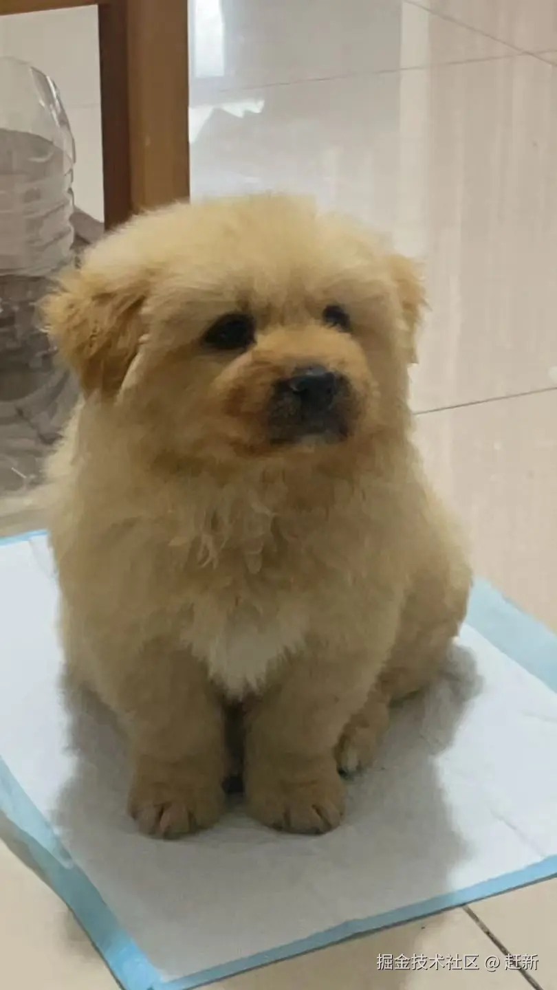 赶新于2025-04-30 14:21发布的图片