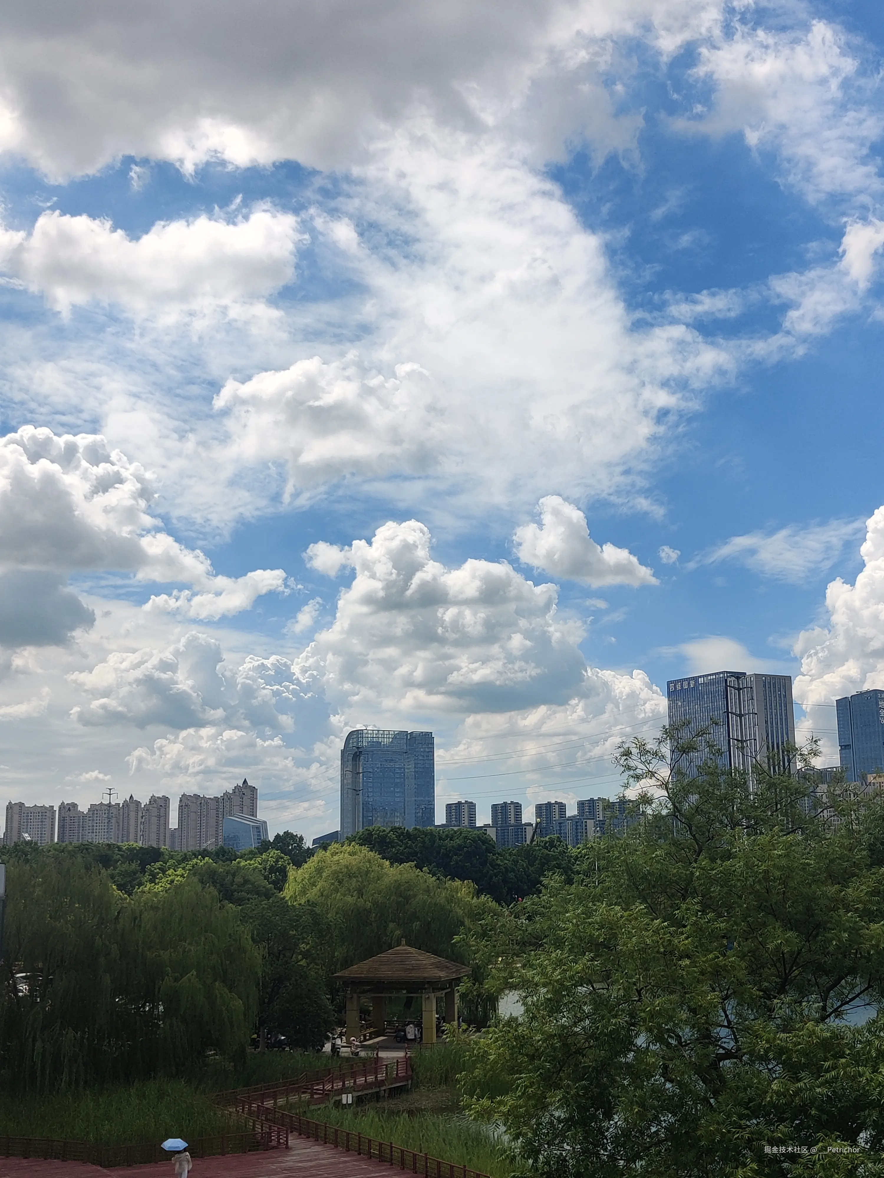 __Petrichor于2025-07-22 14:36发布的图片