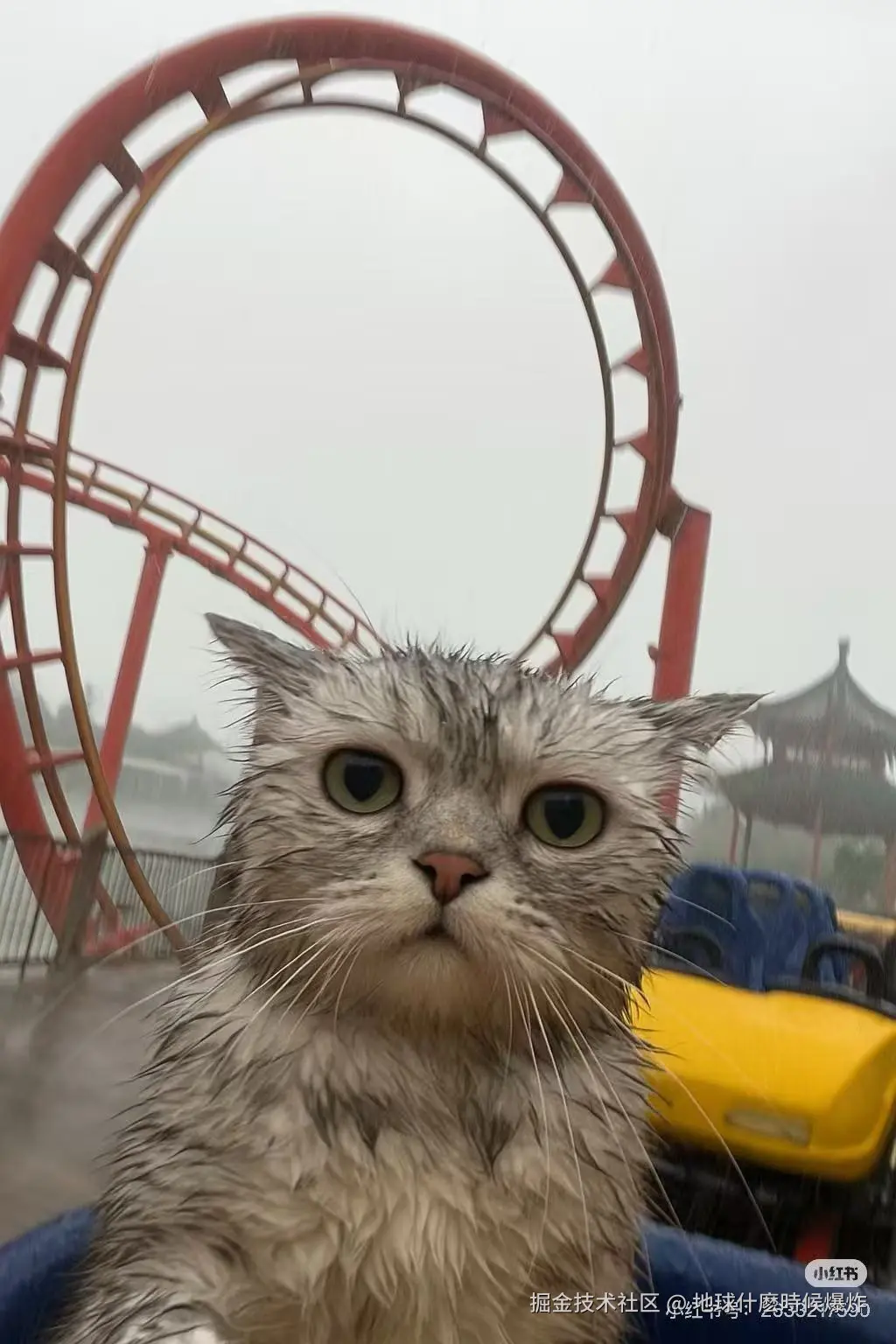 地球什麽時候爆炸于2025-05-19 14:24发布的图片