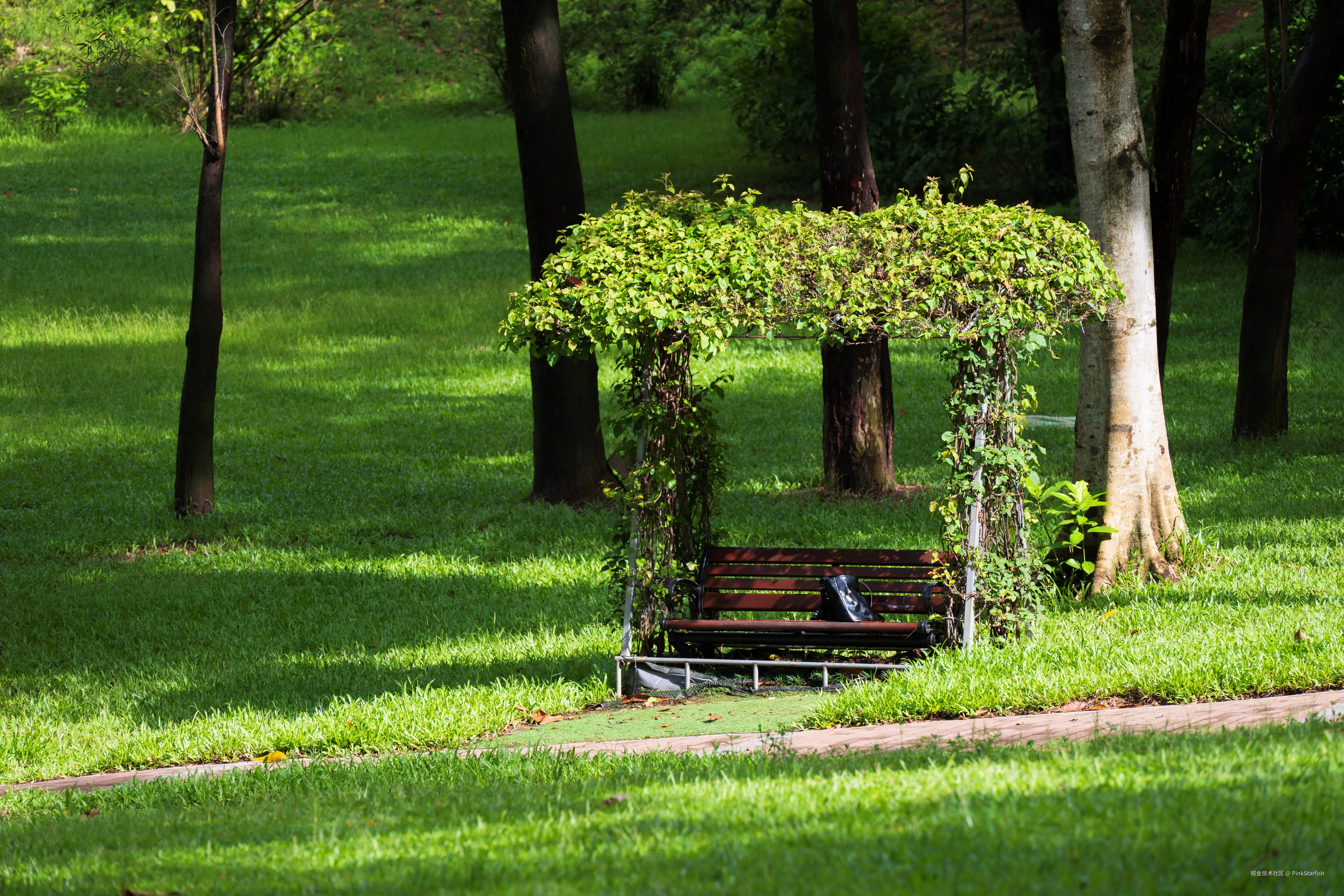 PinkStarfish于2025-07-02 11:30发布的图片