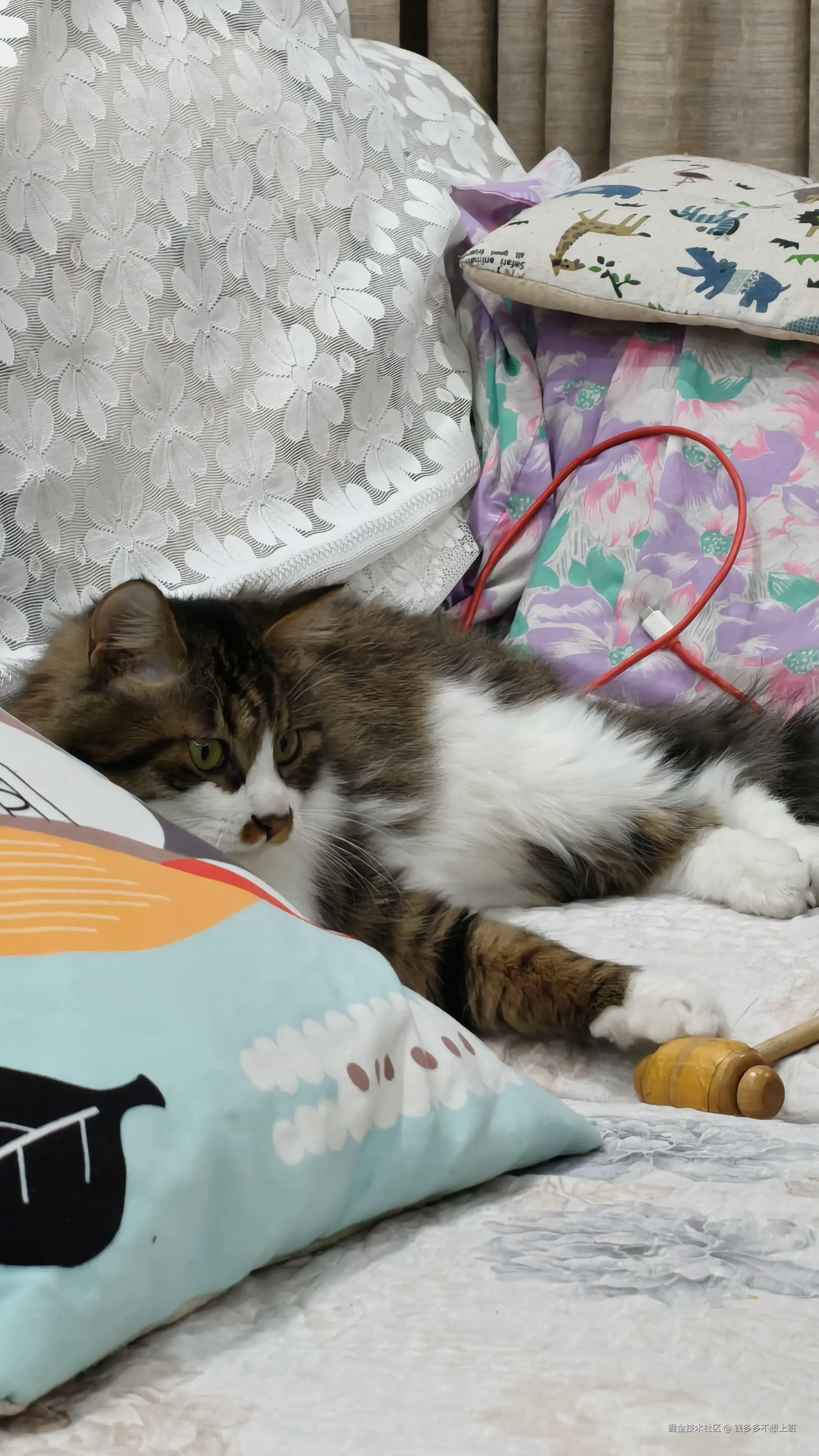 钱多多不想上班于2026-03-03 11:31发布的图片