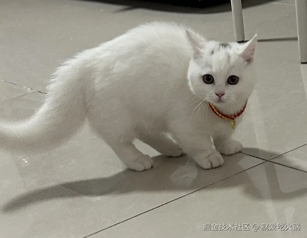 就爱吃火锅于2025-04-15 01:51发布的图片