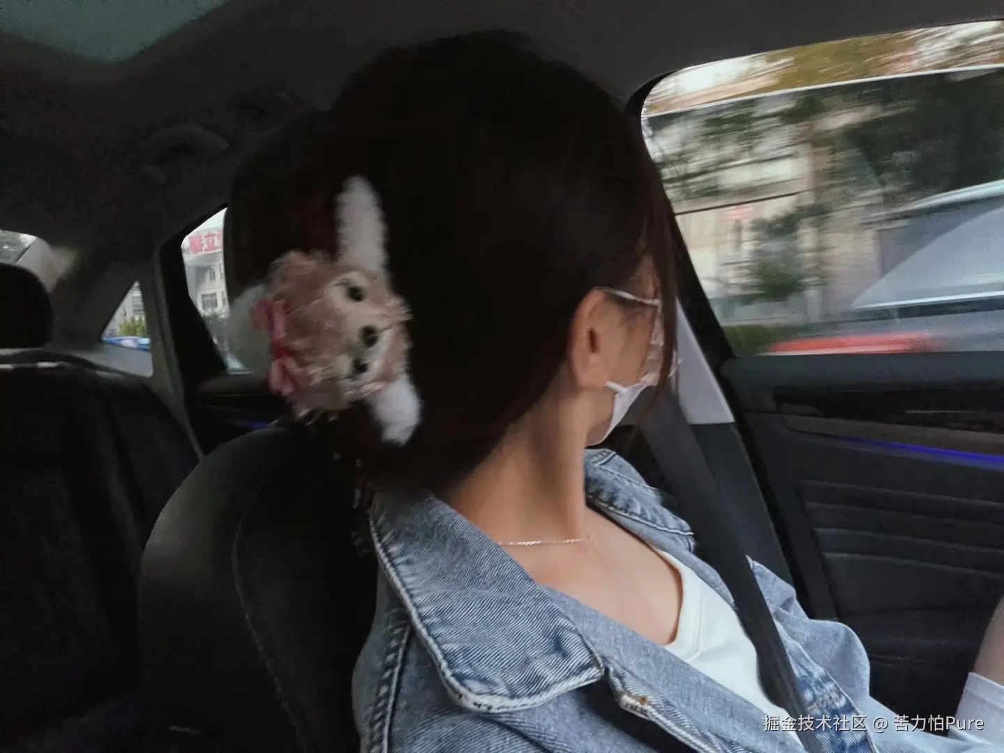 苦力怕Pure于2026-03-13 09:44发布的图片