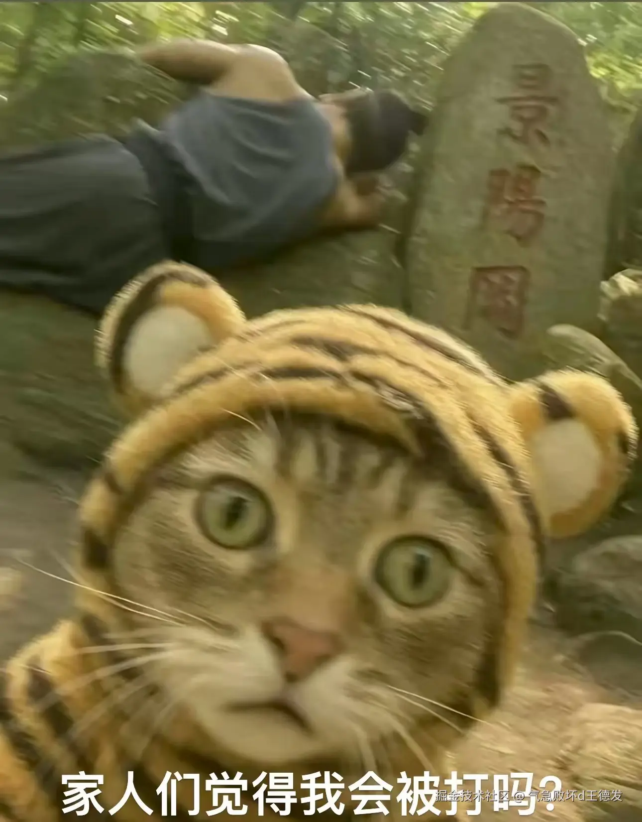 气急败坏d王德发于2025-08-02 17:35发布的图片