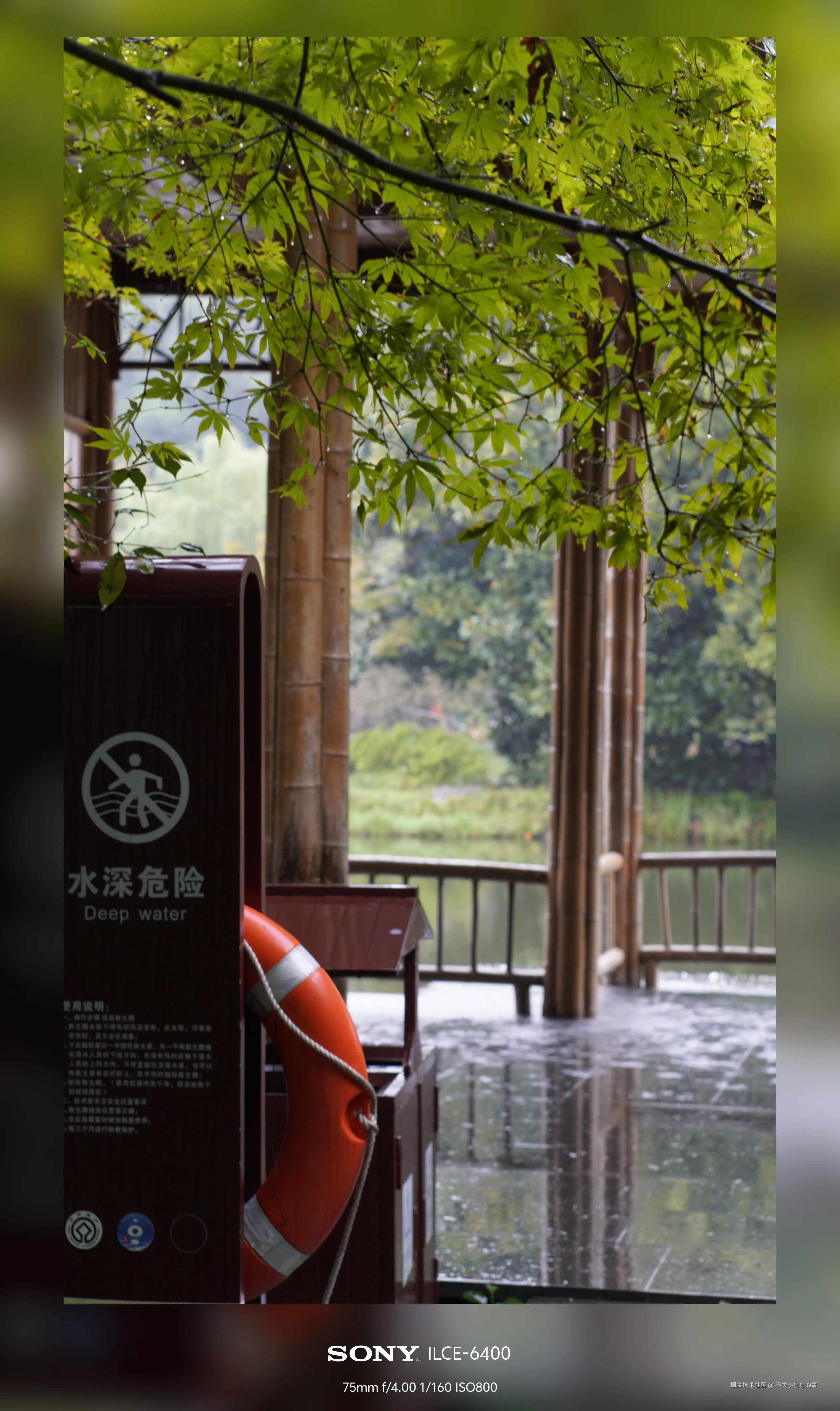 不关小白白的事于2024-10-08 14:03发布的图片