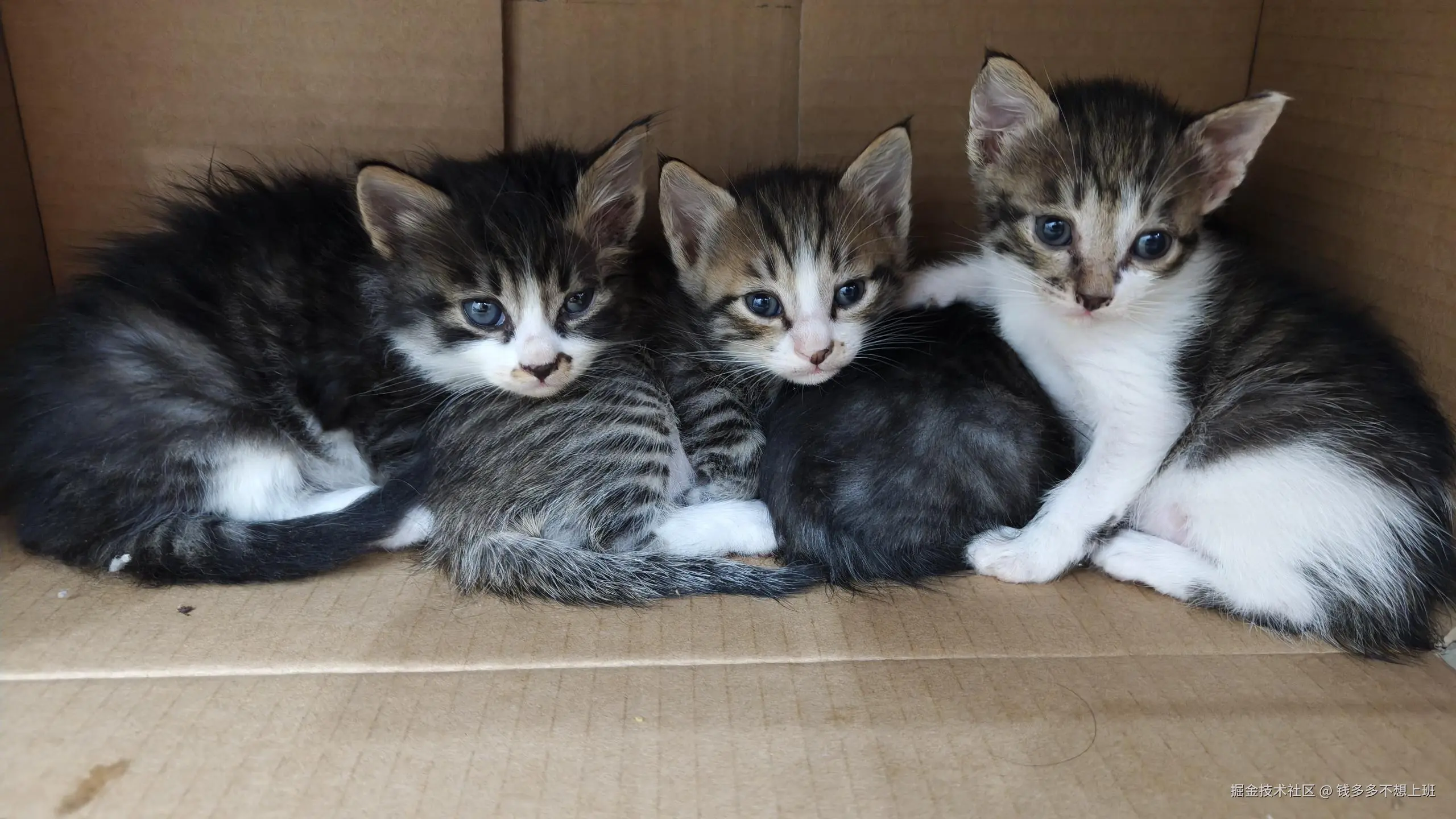 钱多多不想上班于2025-05-13 01:18发布的图片