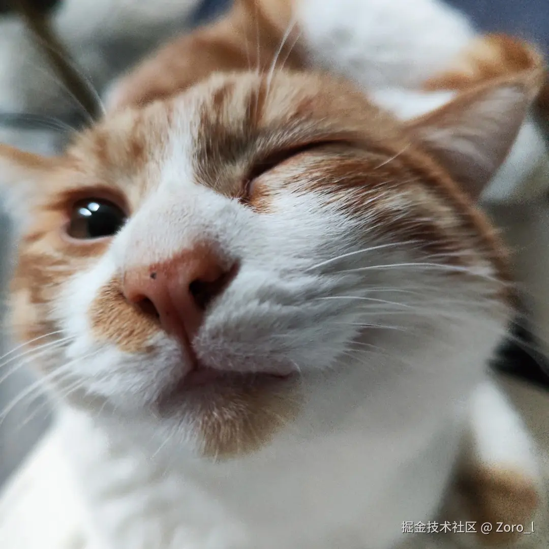 Zoro_l于2025-12-04 11:51发布的图片