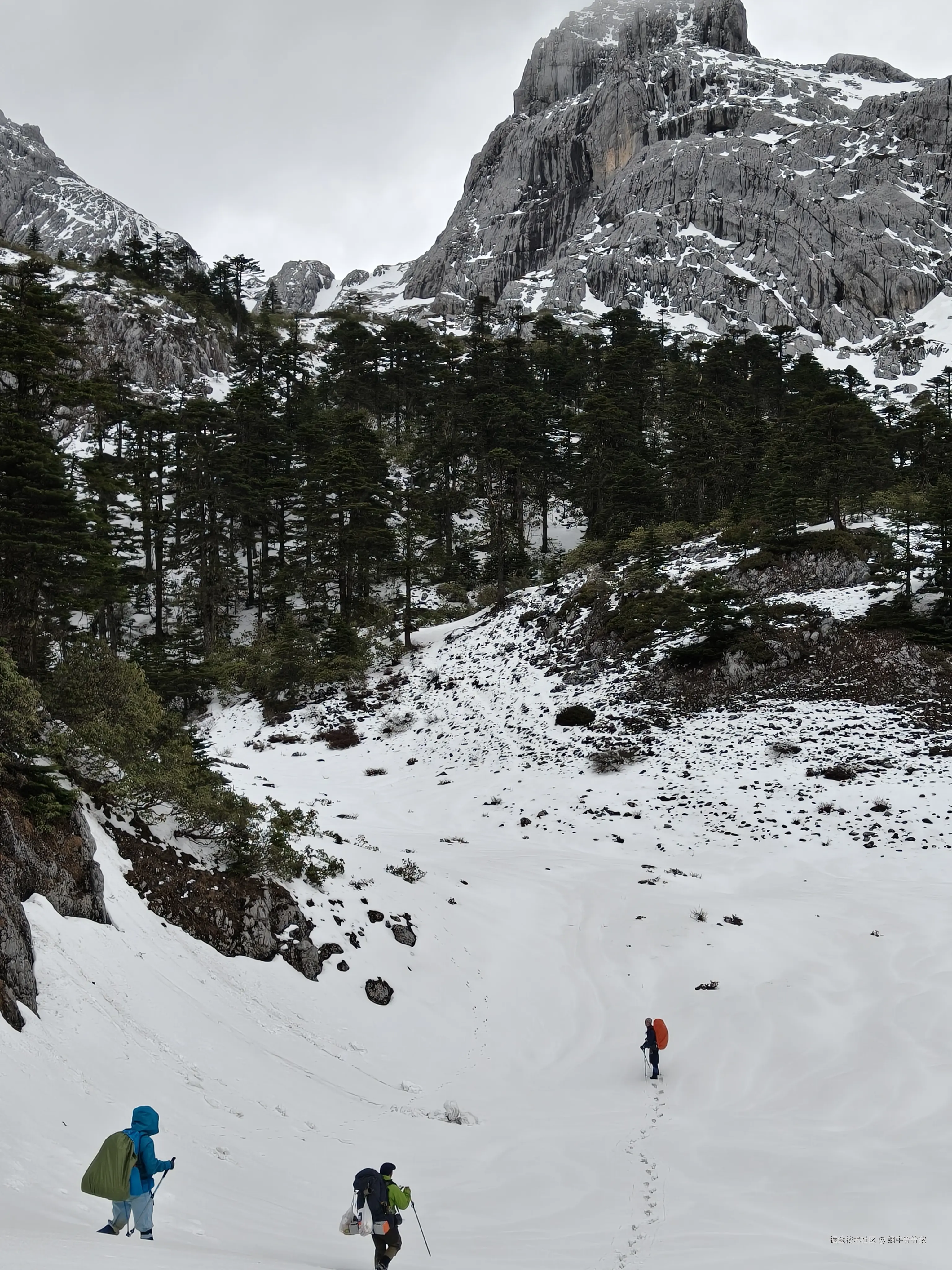 蜗牛等等我于2025-05-29 15:46发布的图片