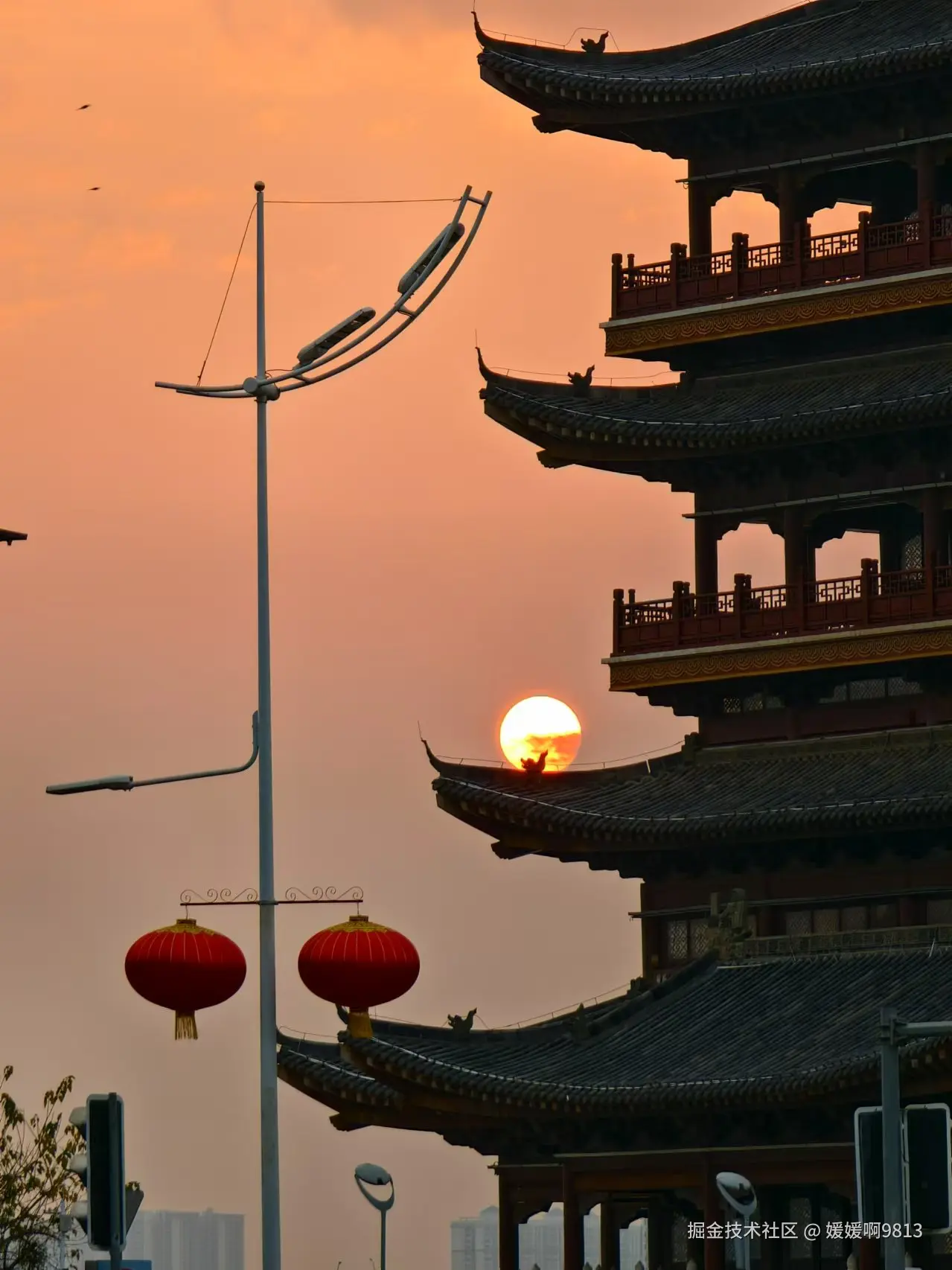 媛媛啊9813于2025-01-24 03:47发布的图片