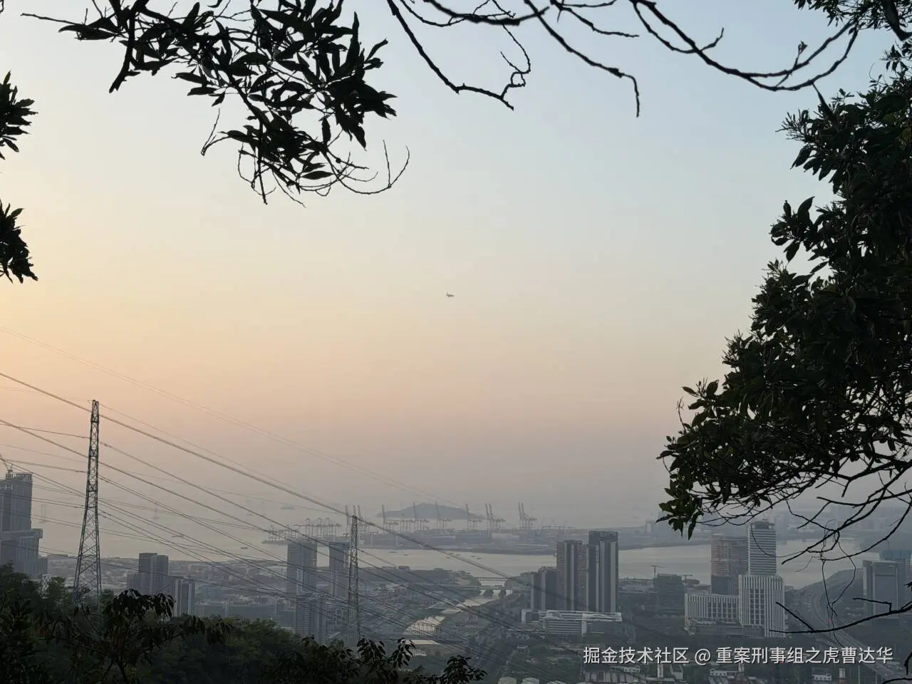 重案刑事组之虎曹达华于2025-12-09 02:01发布的图片