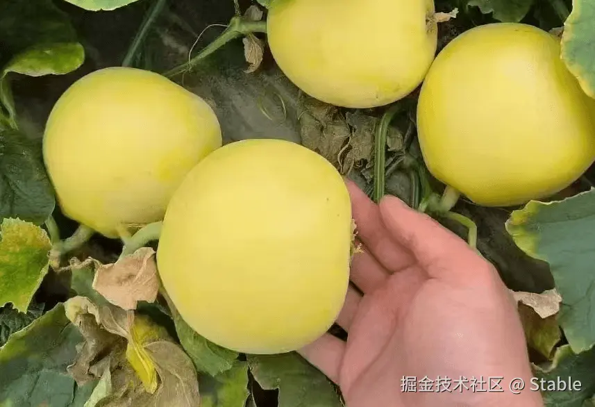 Stable于2025-04-16 14:17发布的图片