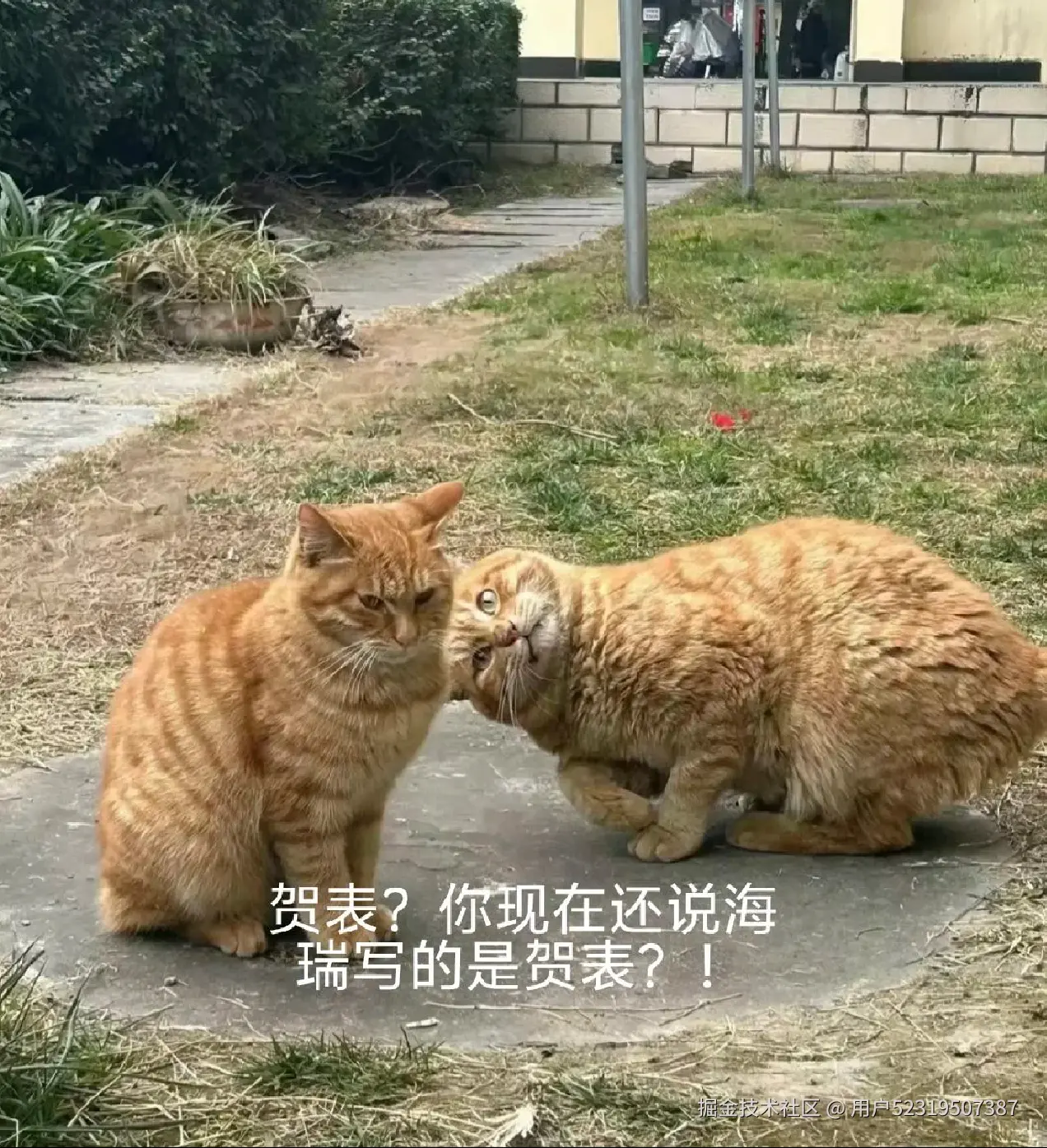 用户52319507387于2026-04-30 09:09发布的图片