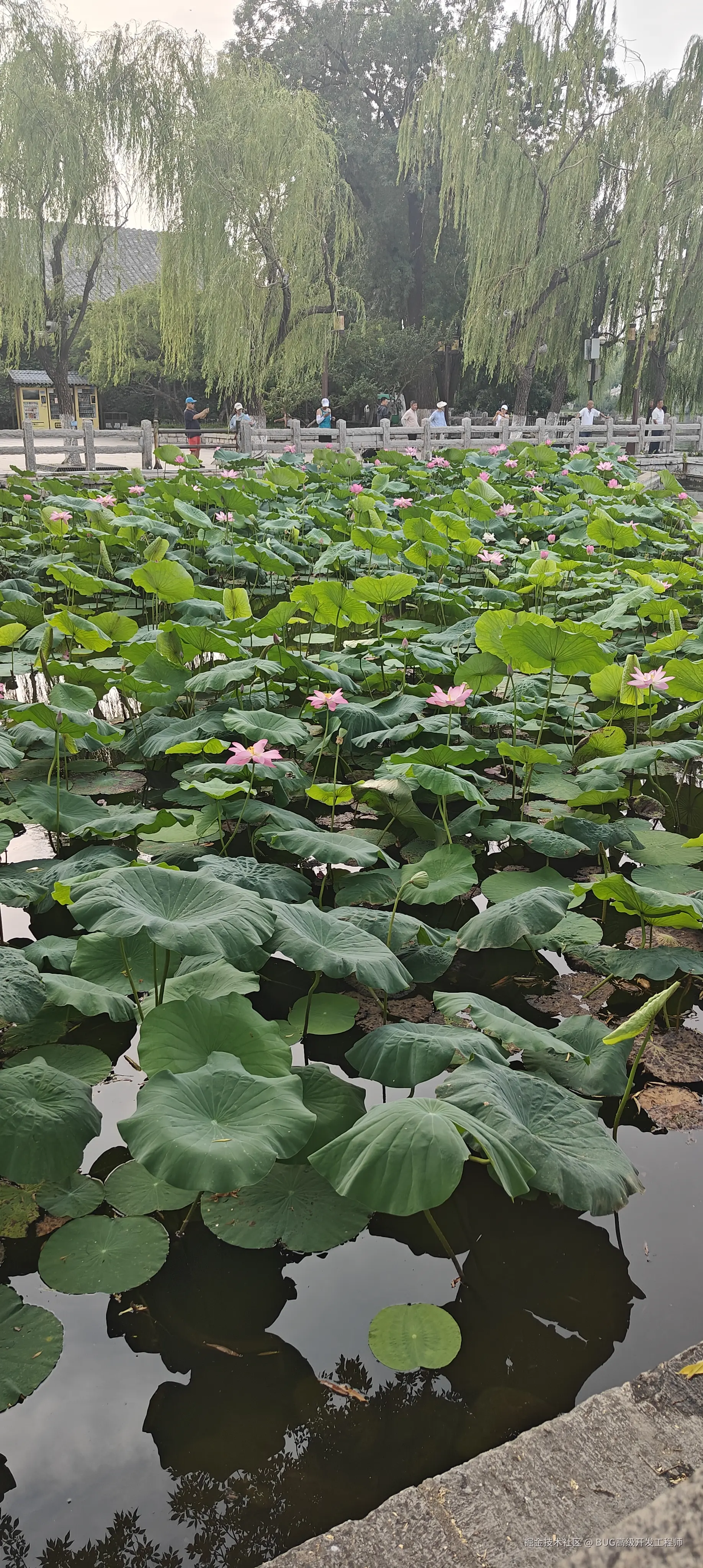 BUG高级开发工程师于2025-07-21 10:17发布的图片