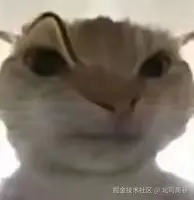 北司南巷于2025-06-20 21:45发布的图片