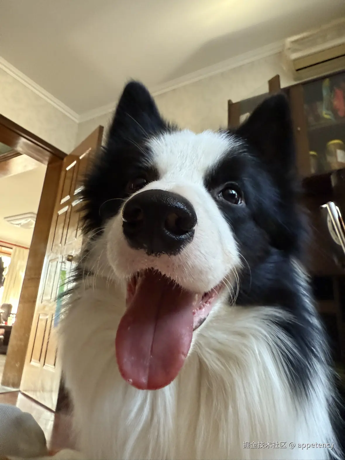 appetency于2024-12-31 16:23发布的图片