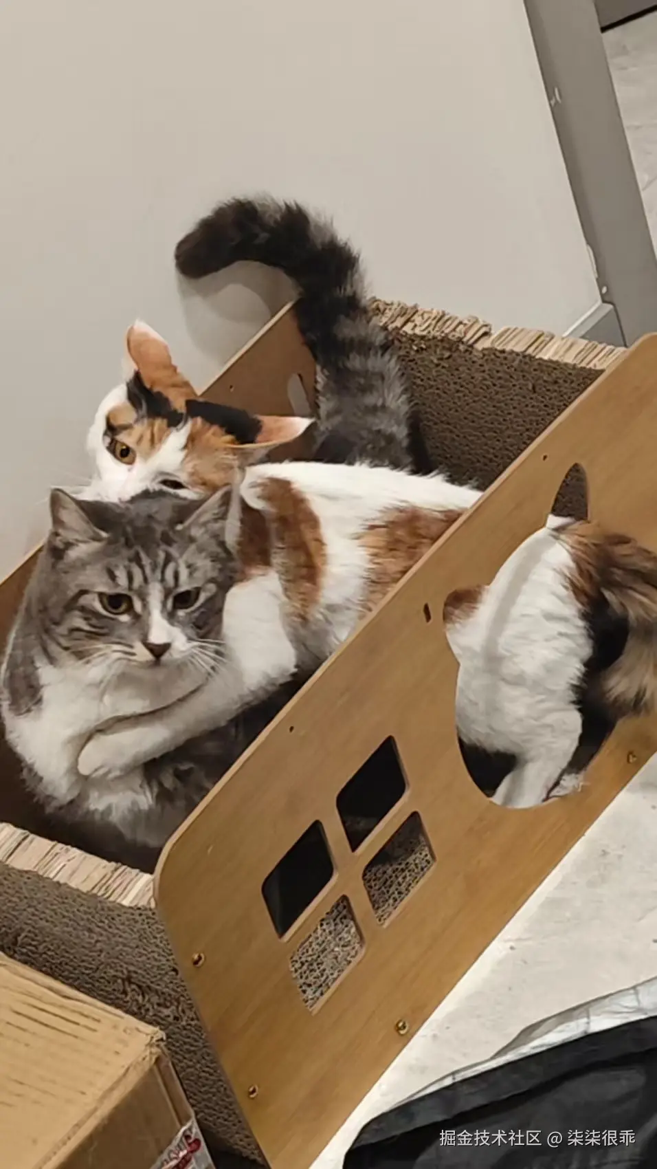 柒柒很乖于2025-01-13 10:14发布的图片