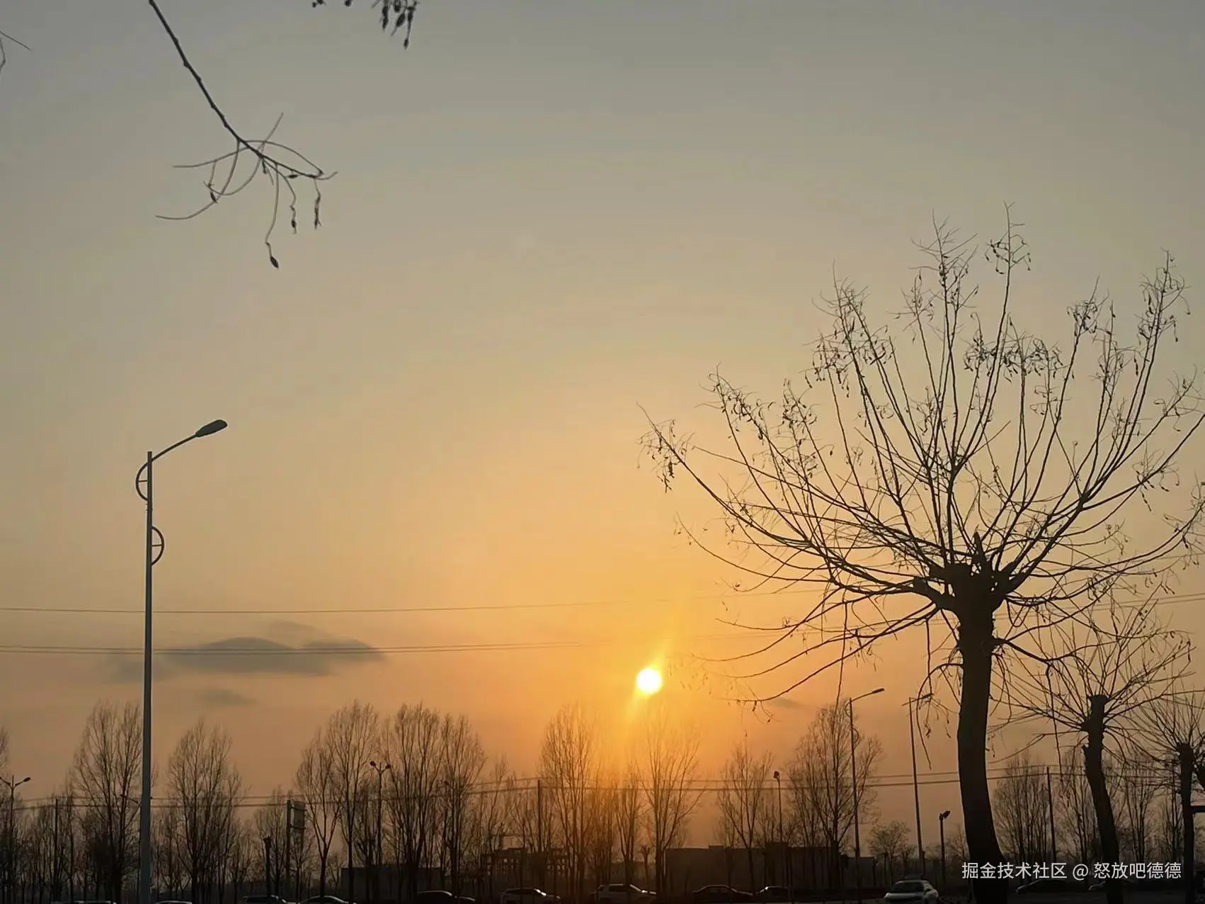 怒放吧德德于2025-04-22 23:40发布的图片