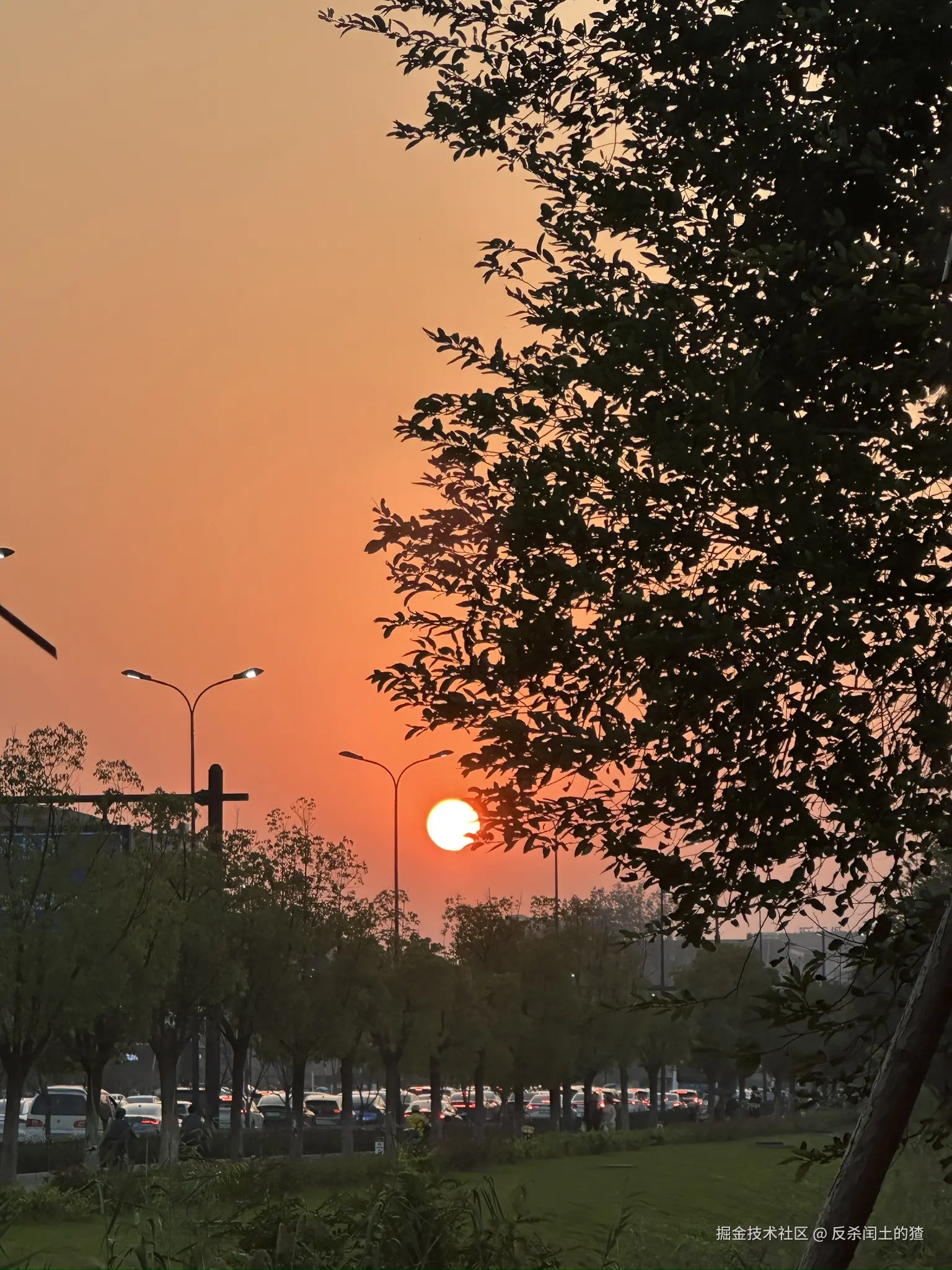 反杀闰土的猹于2025-11-17 17:00发布的图片