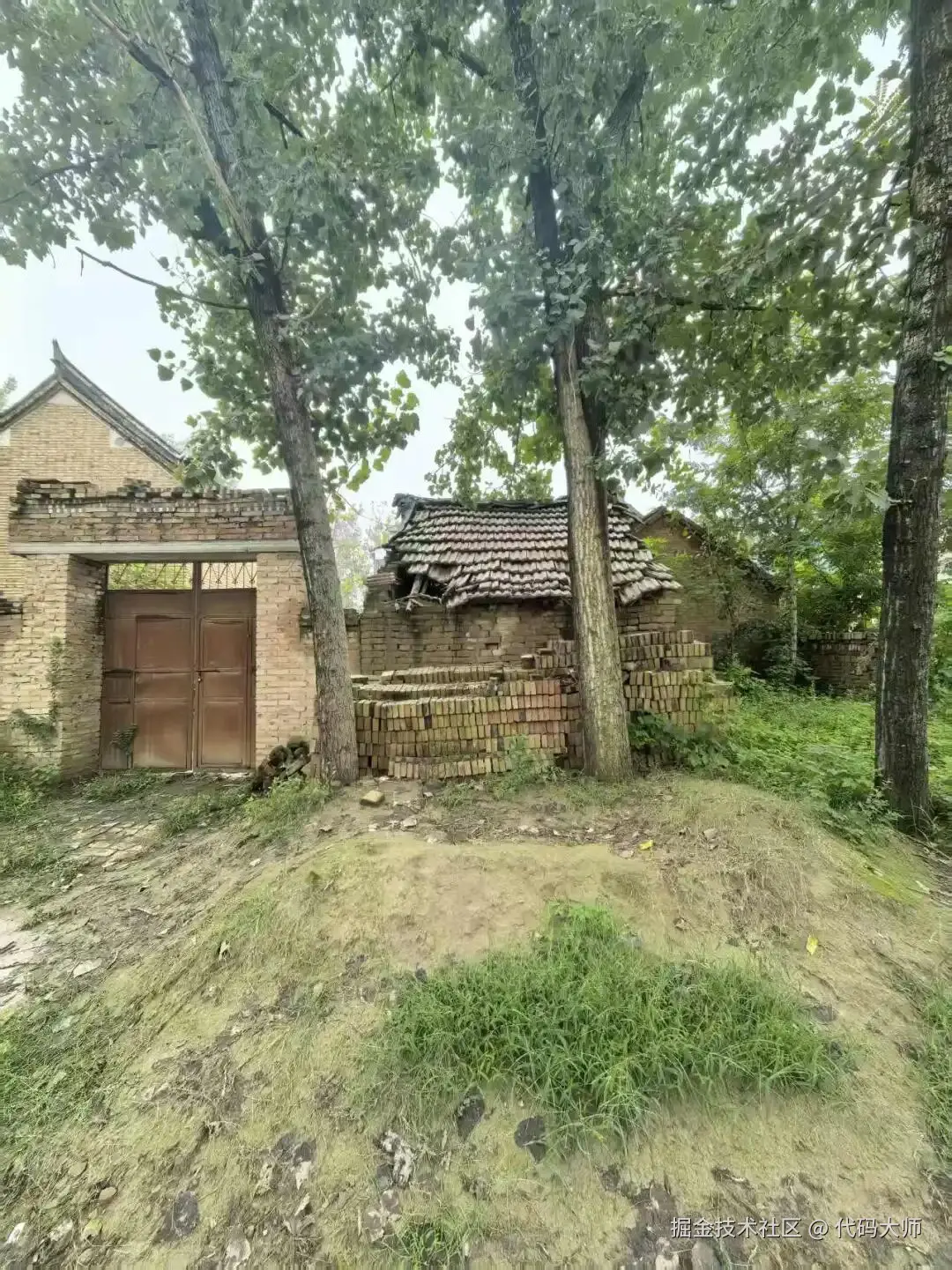 代码大师于2025-09-27 13:48发布的图片