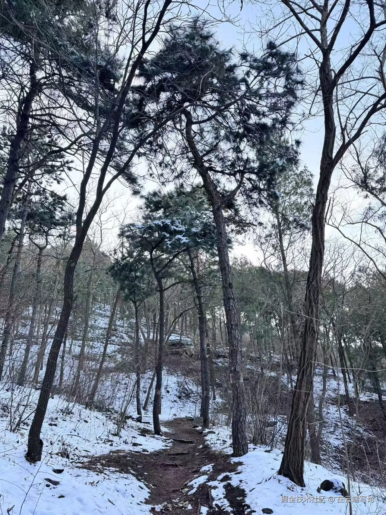 在云端写诗于2026-03-09 10:38发布的图片