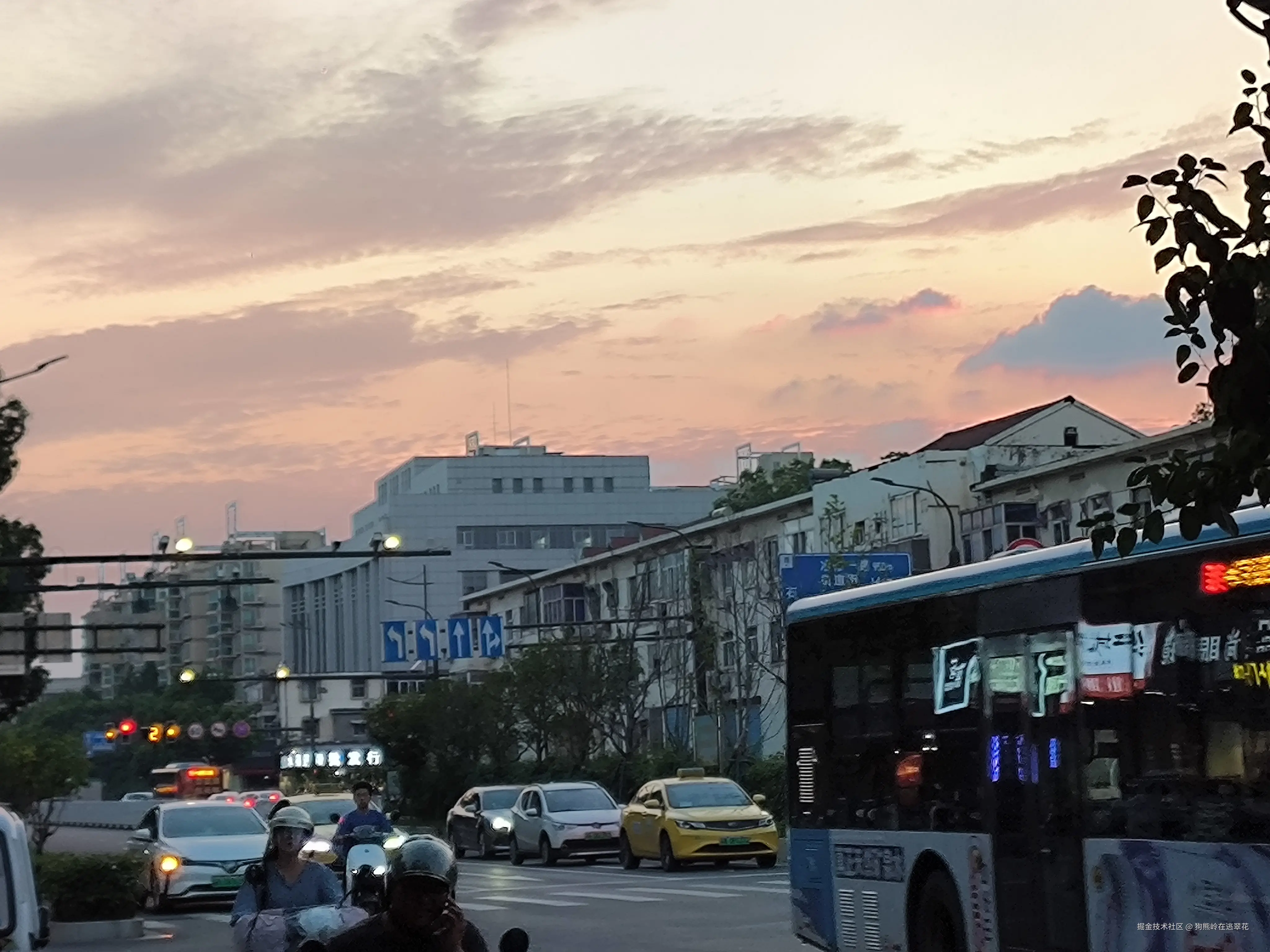 狗熊岭在逃翠花于2024-07-24 10:50发布的图片