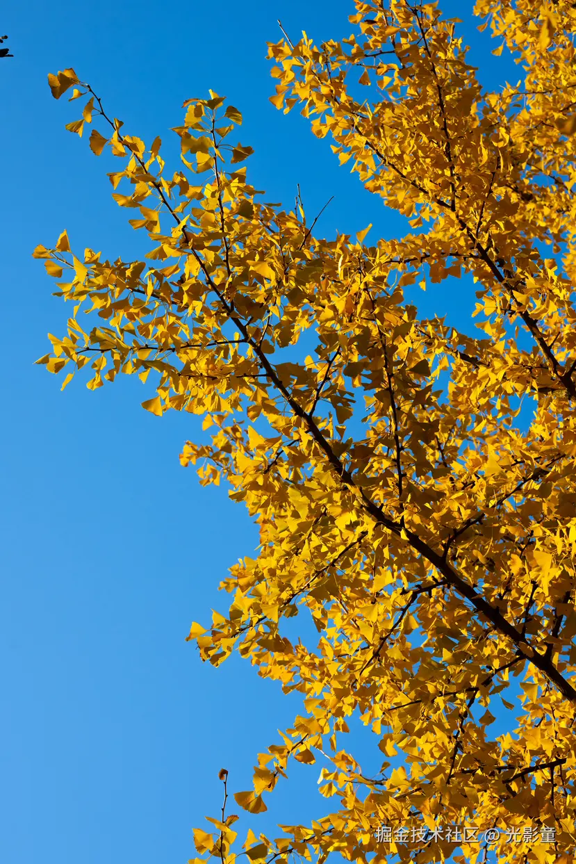 光影童于2025-11-28 10:03发布的图片