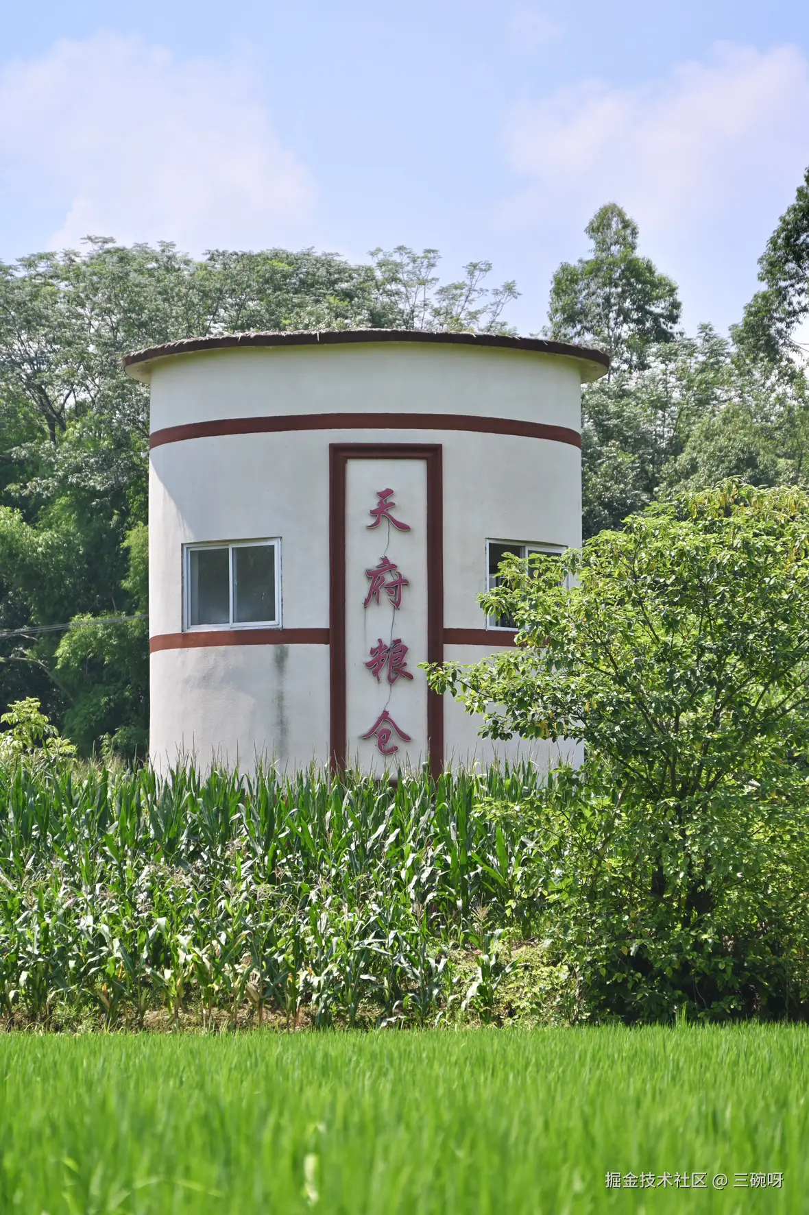 三碗呀于2025-07-28 10:00发布的图片