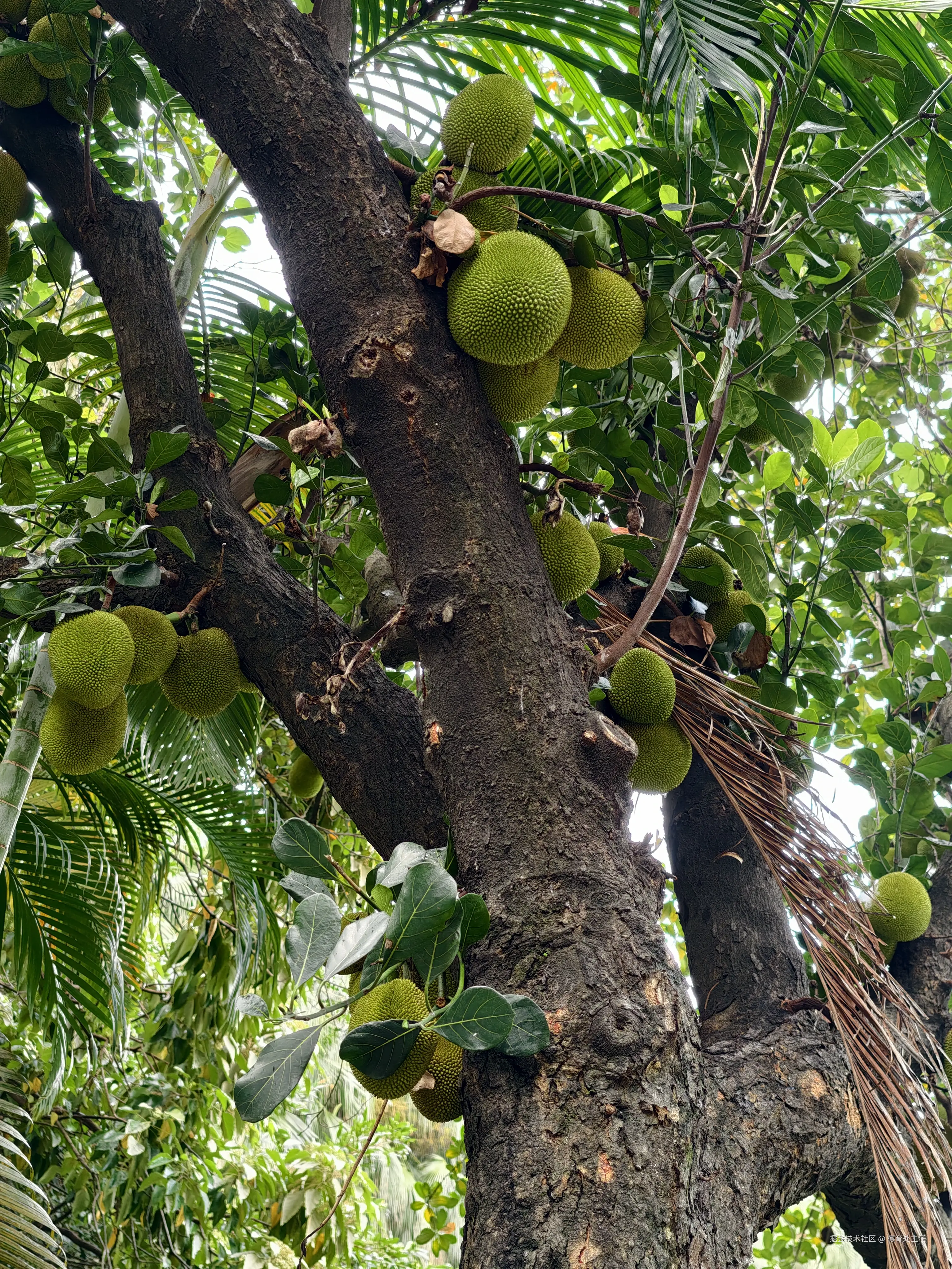 德育处主任于2025-05-20 17:31发布的图片