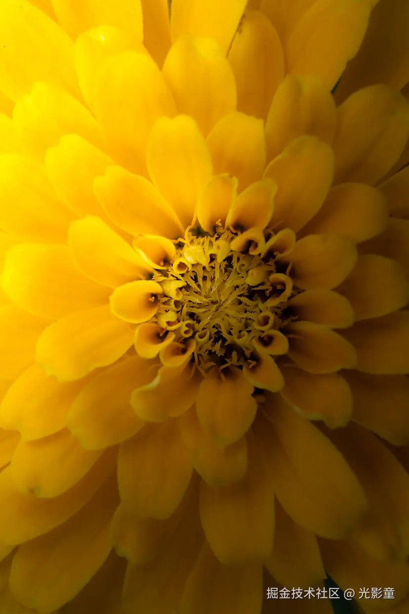 光影童于2025-07-29 10:11发布的图片