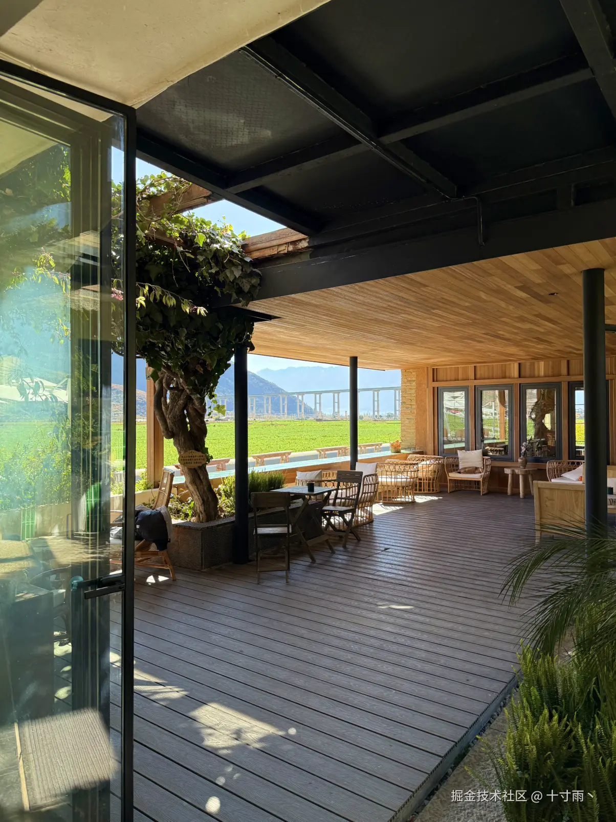 十寸雨丶于2026-02-06 11:51发布的图片