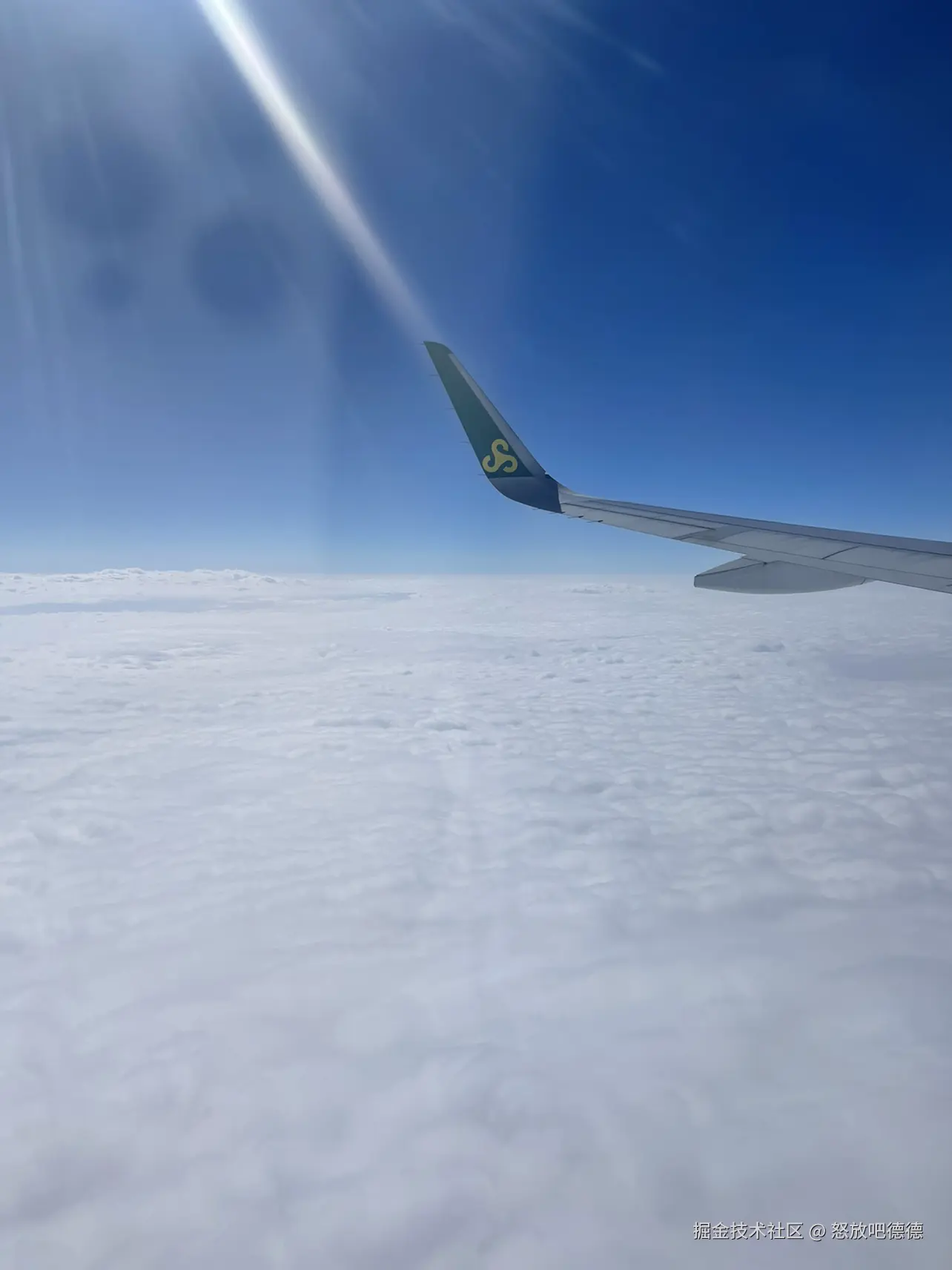 怒放吧德德于2025-03-16 20:47发布的图片